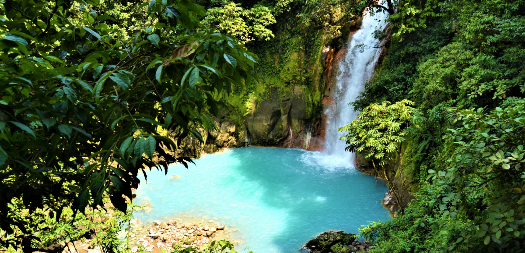 La cascade du Rio Celeste (selon date de départ)