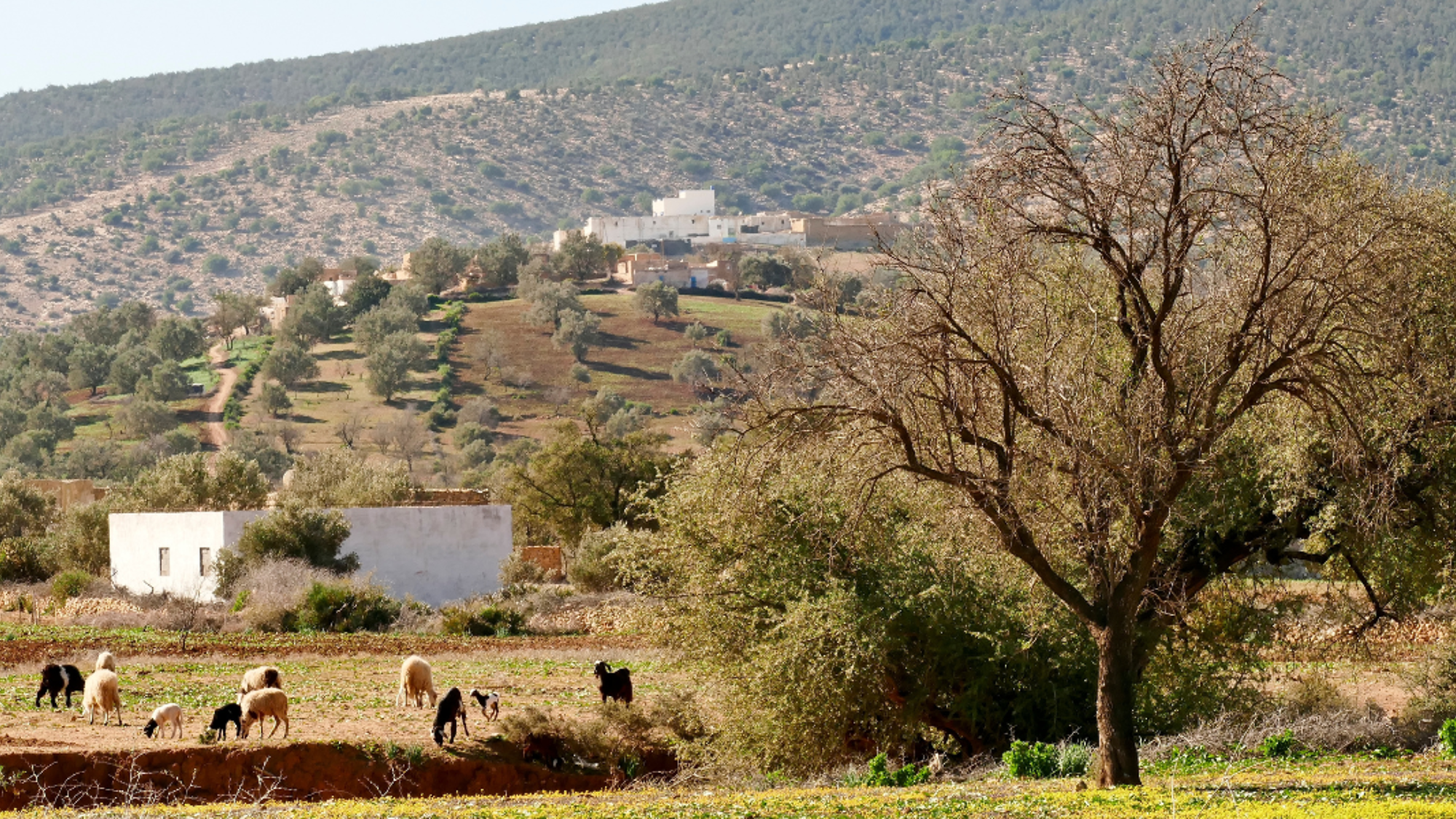 La rencontre avec les locaux et la culture marocaine - jour 4