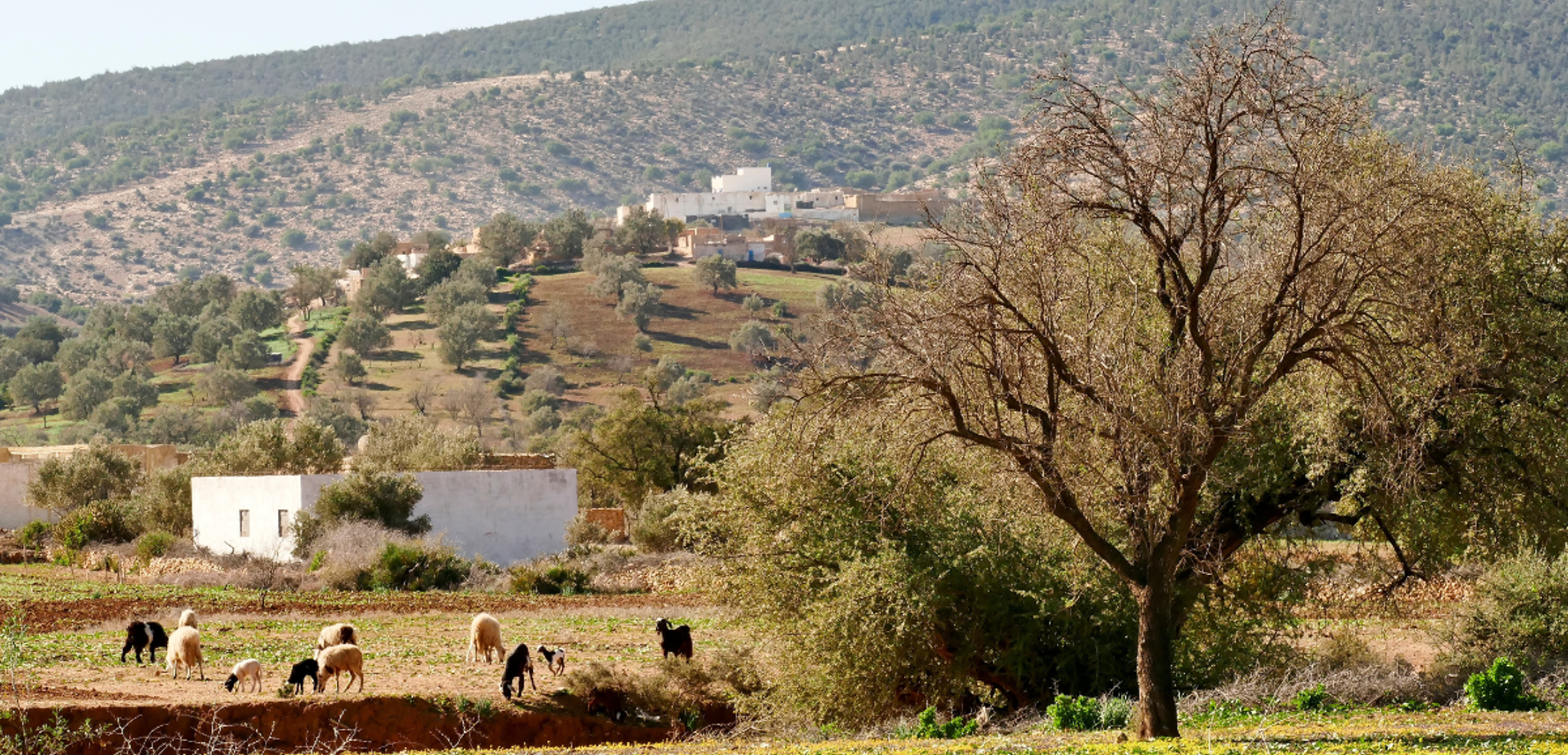 La rencontre avec les locaux et la culture marocaine - jour 4