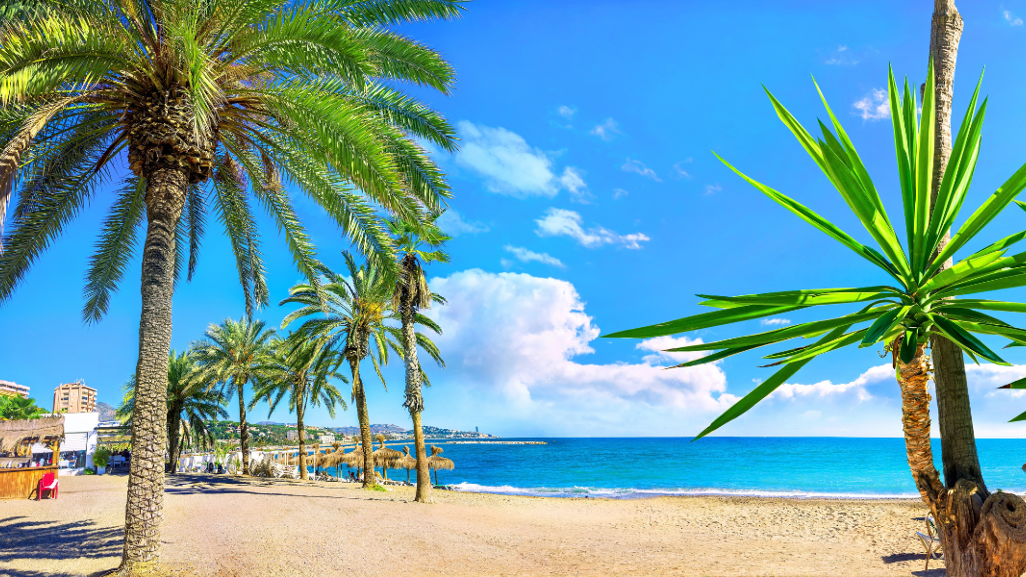 La plage de Malagueta