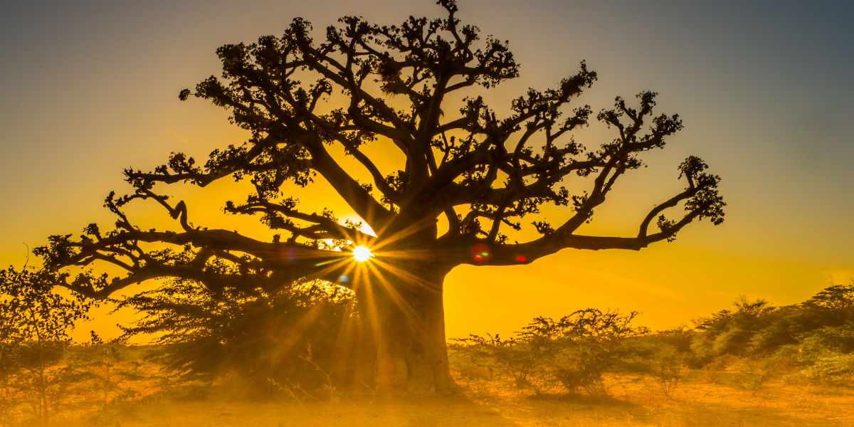 Aux paysages variés