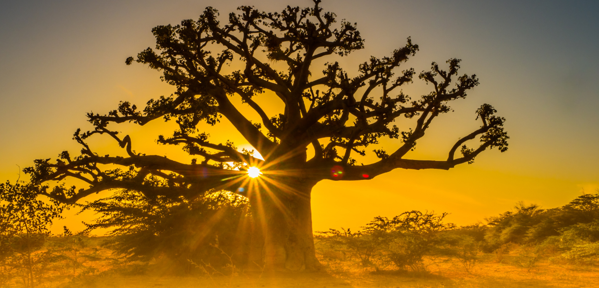 Aux paysages variés