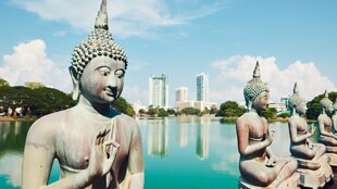 Bienvenue au Sri Lanka !