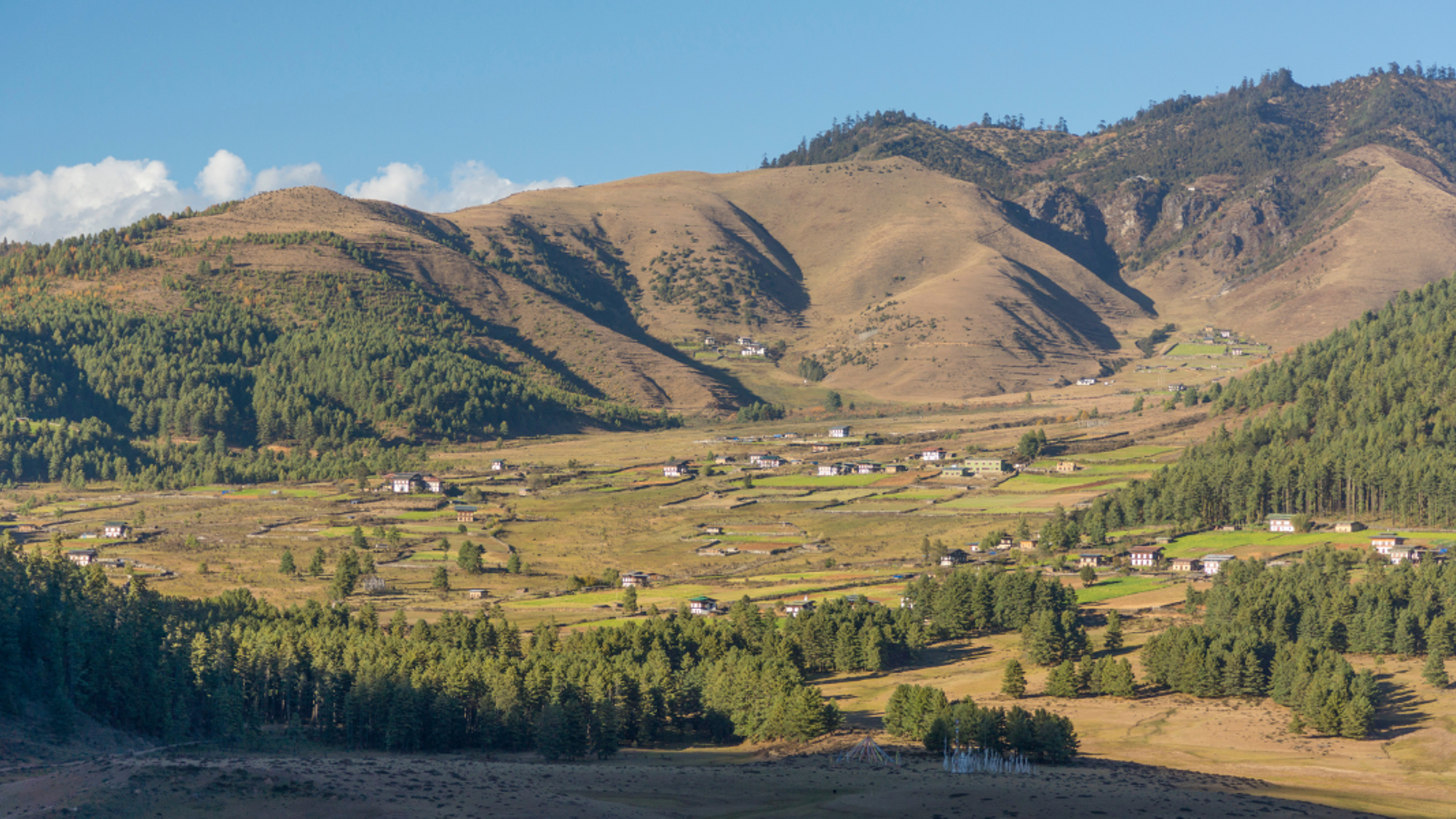 Vallée de Phobjikha, Bouthan