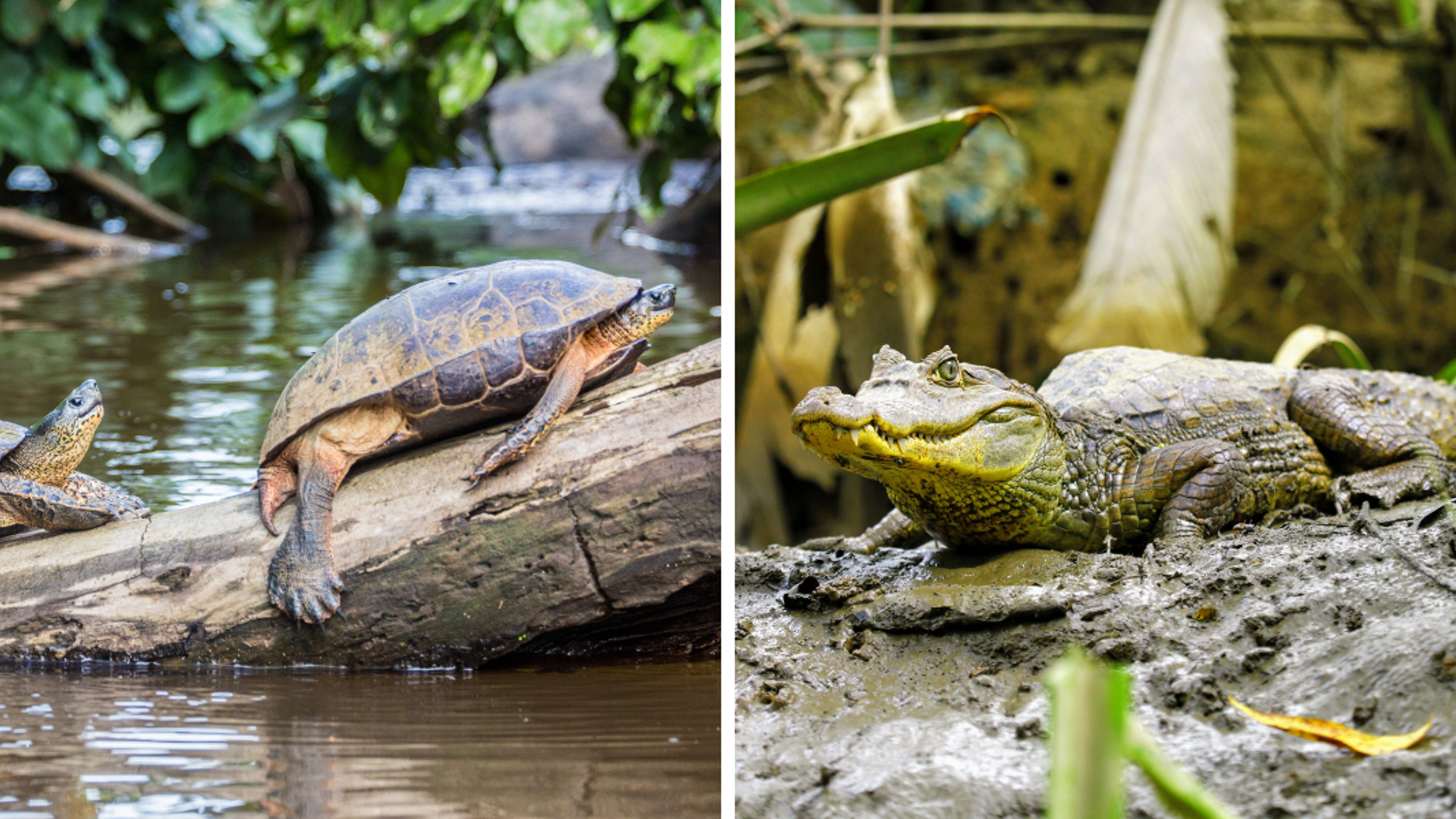 Rencontre avec la population locale !