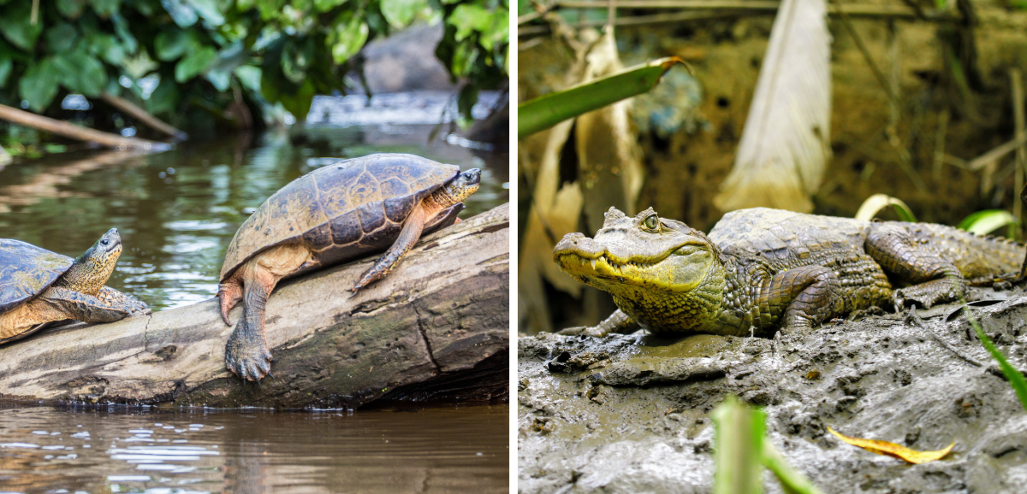 Rencontre avec la population locale !