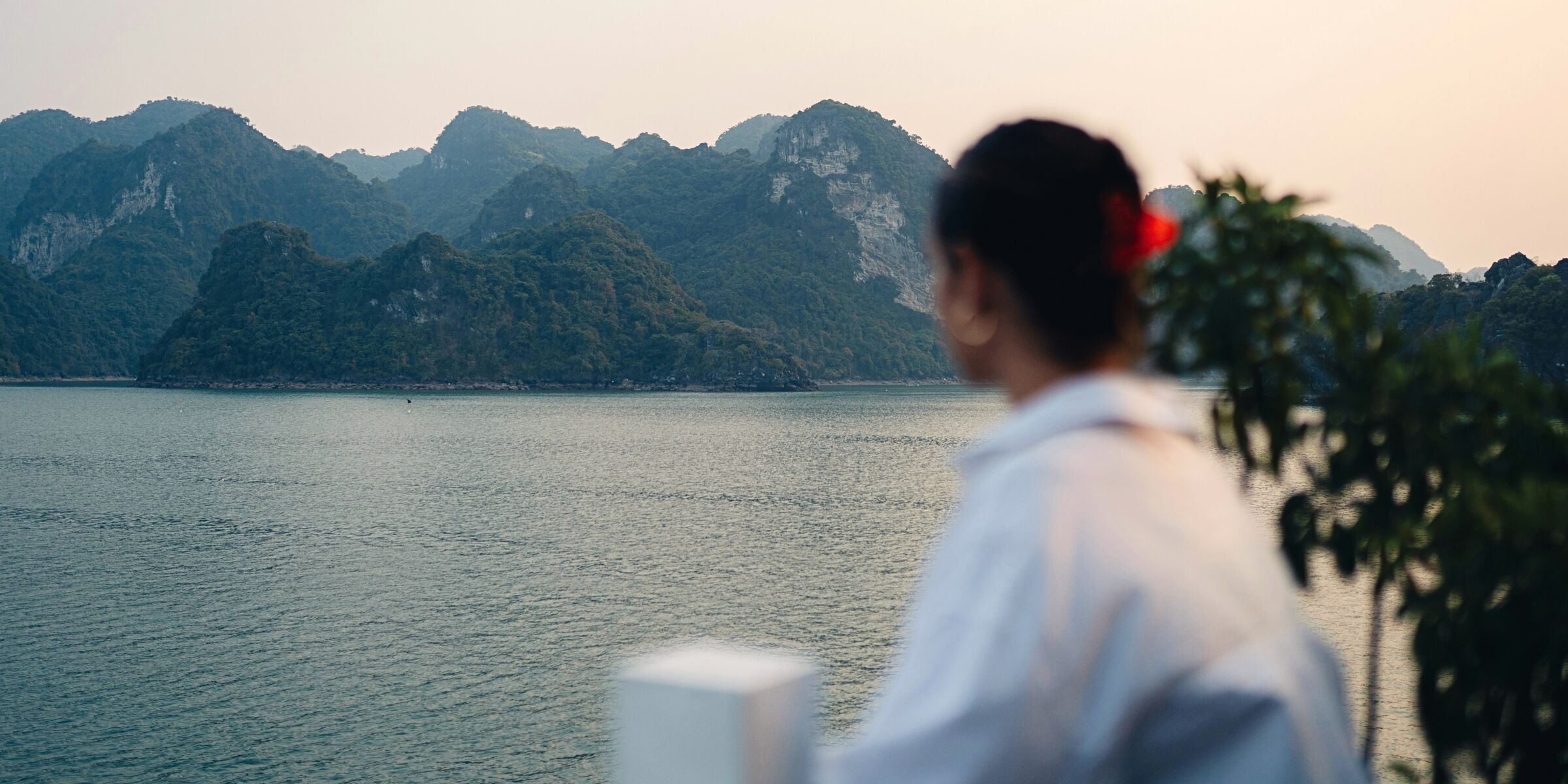 Bienvenue au Vietnam ! 