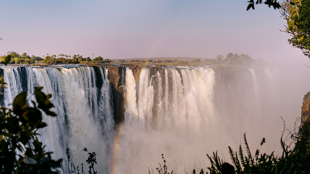 Safari, Botswana