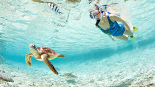 Bienvenue en Polynésie Française !