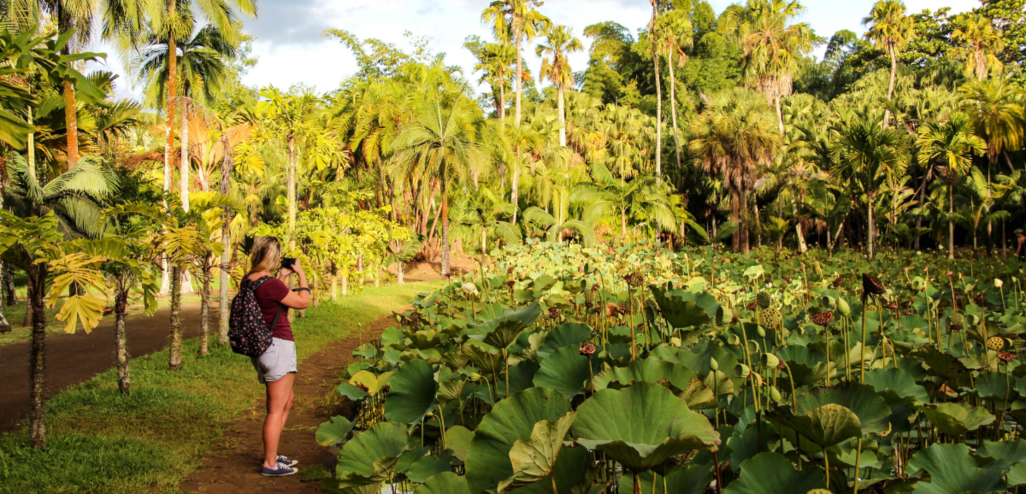 Le Jardin de Pamplemousses et sa végétation tropicale