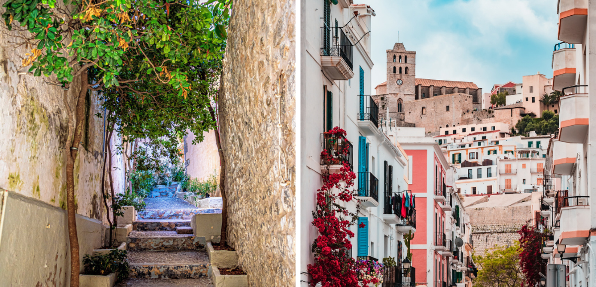 Suivez le guide dans la vieille ville d'Ibiza