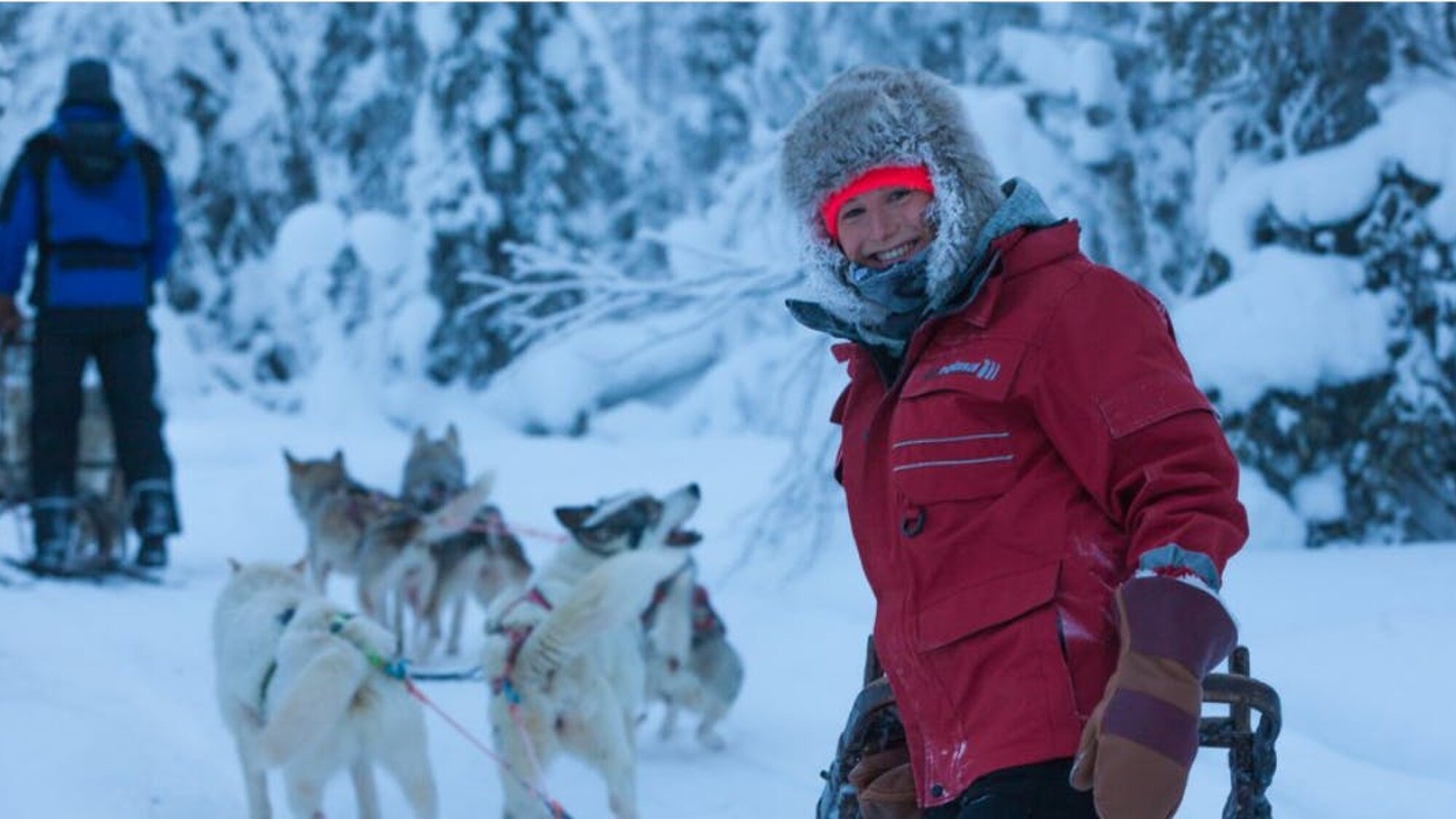 Les joies de la glisse en traineau à chiens