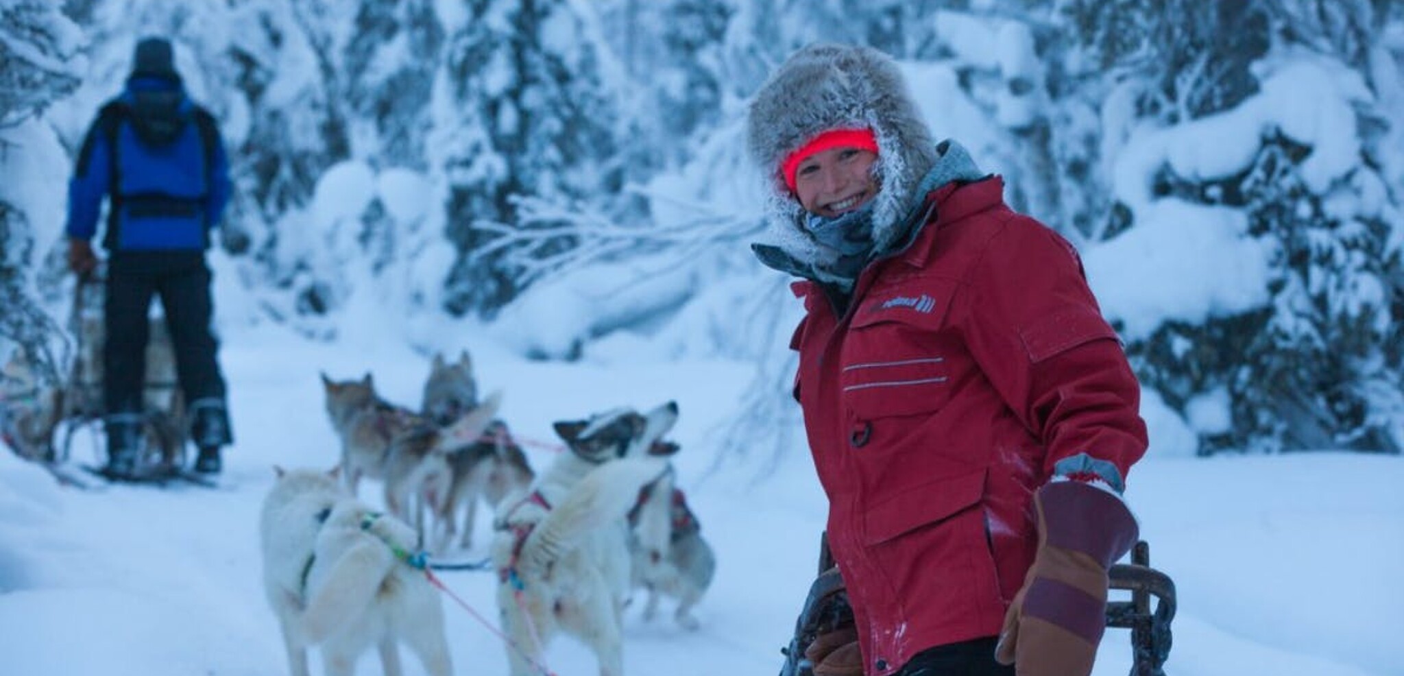 Les joies de la glisse en traineau à chiens