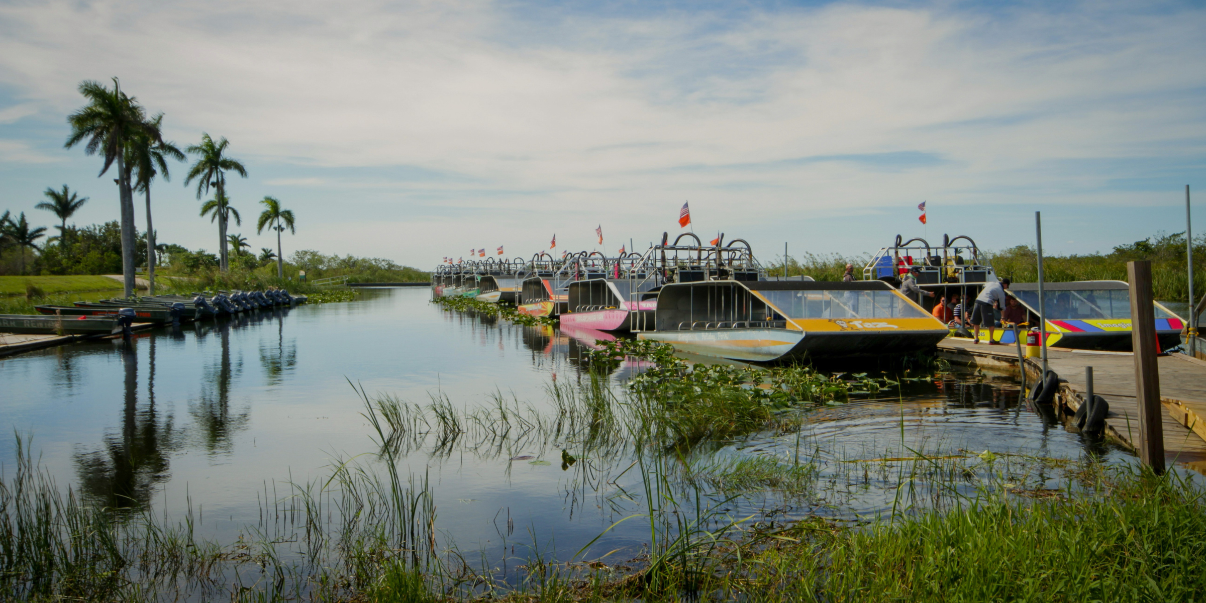 Everglades, Floride, États-Unis ©Laurent b / Unsplash  