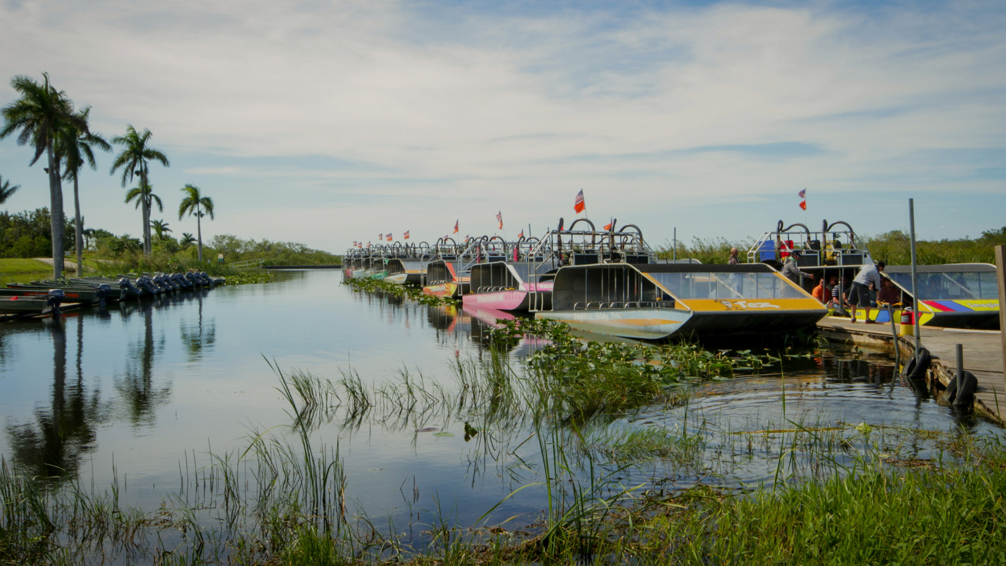 Everglades, Floride, États-Unis ©Laurent b / Unsplash