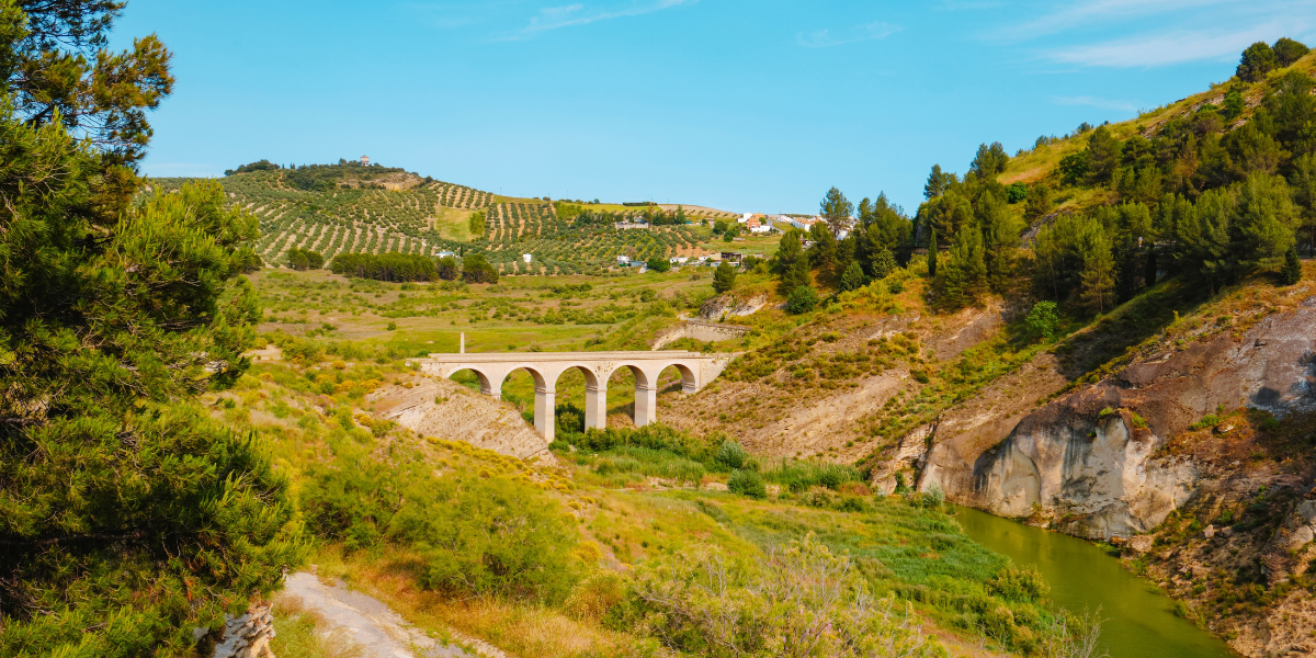 Paysages andalous, Cordoue