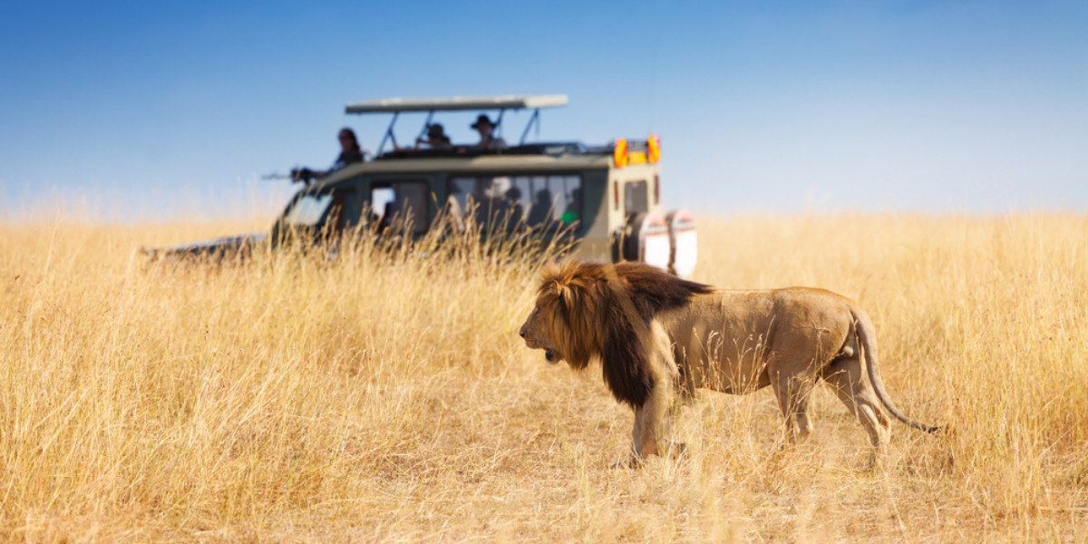 Masai Mara, Kenya