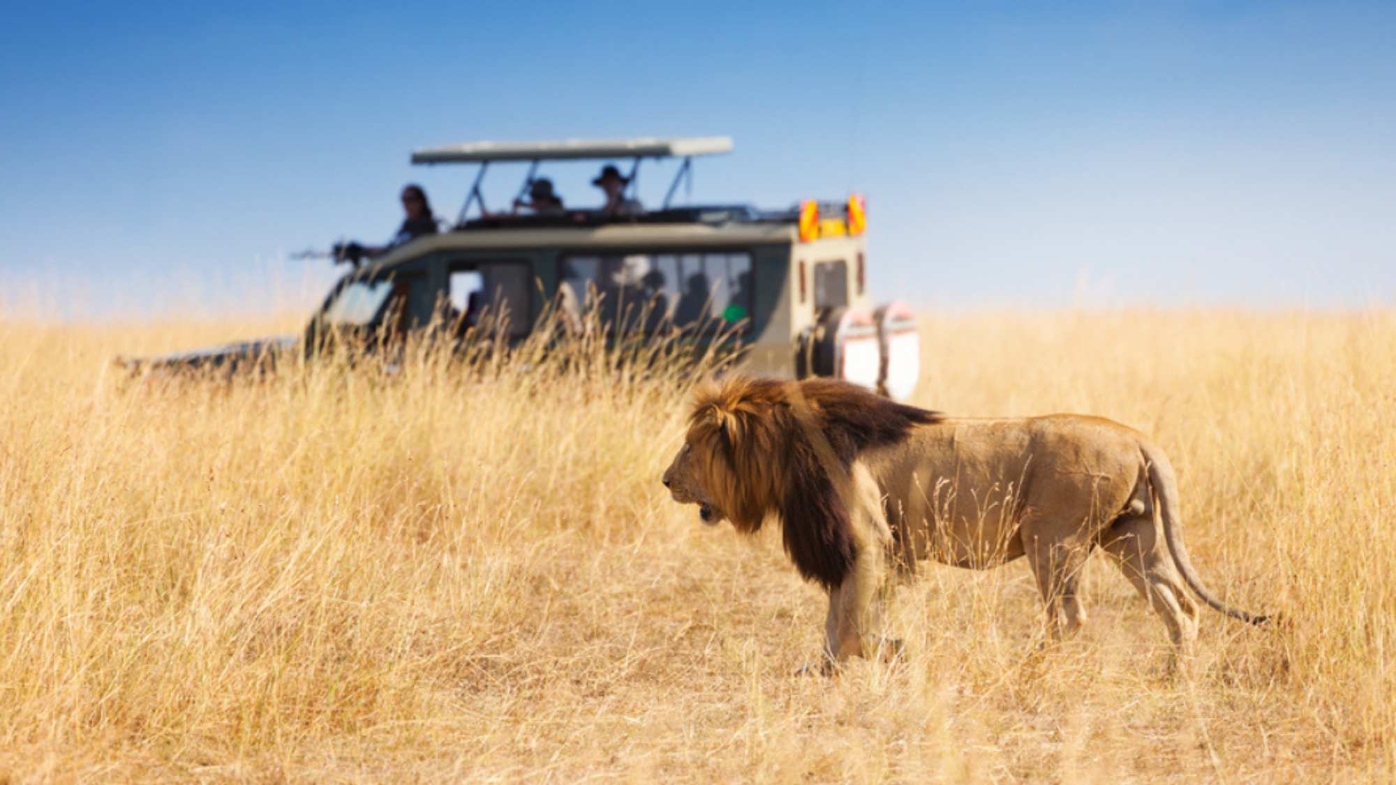 Masai Mara, Kenya