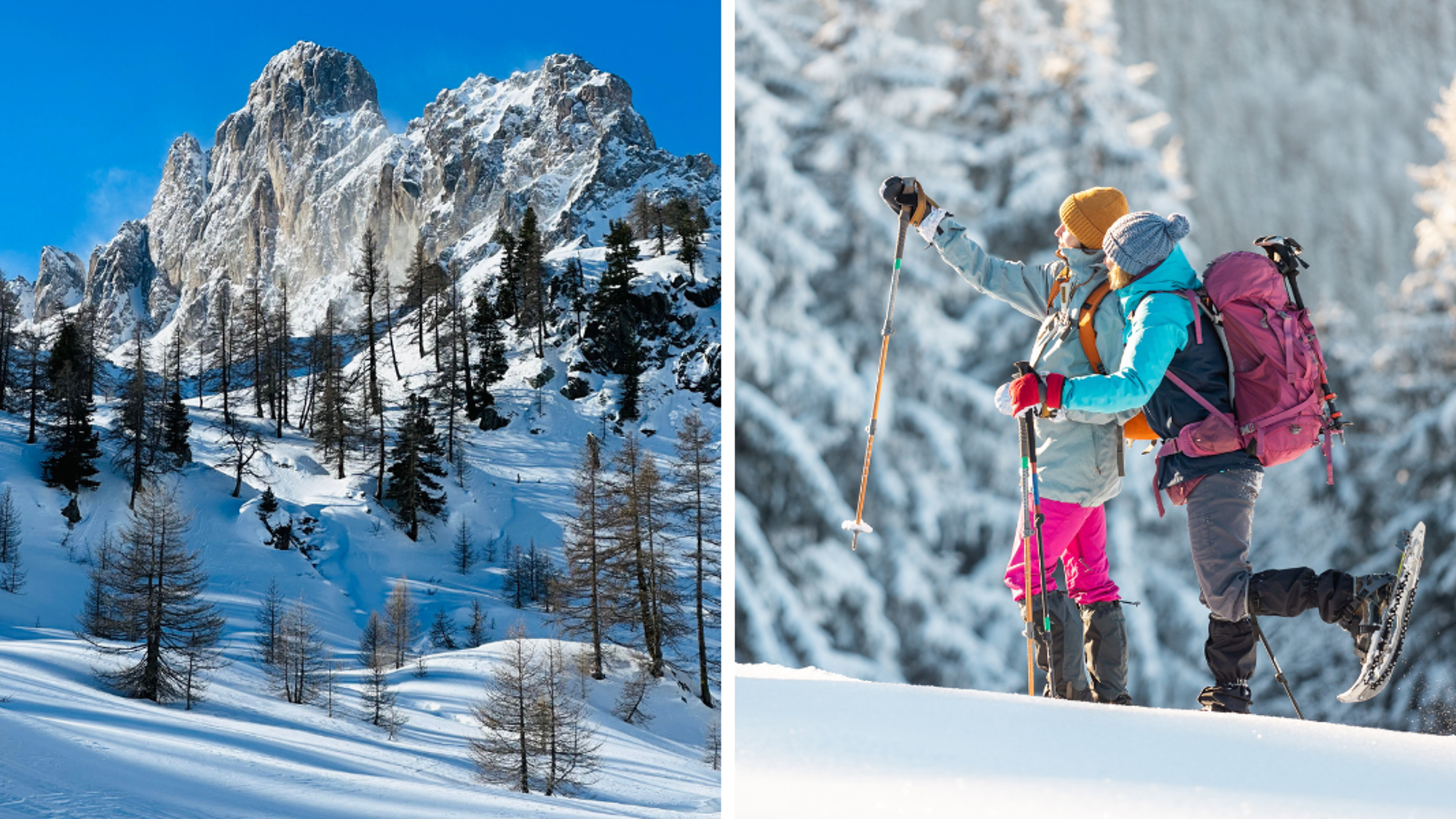 Au programme : des randos en raquettes...