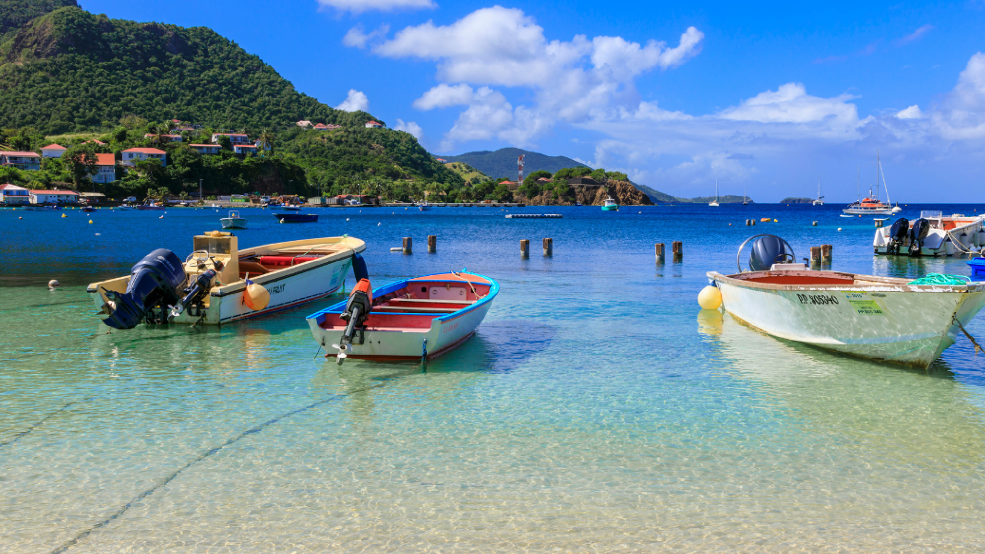 Dans la baie de Terre de Haut