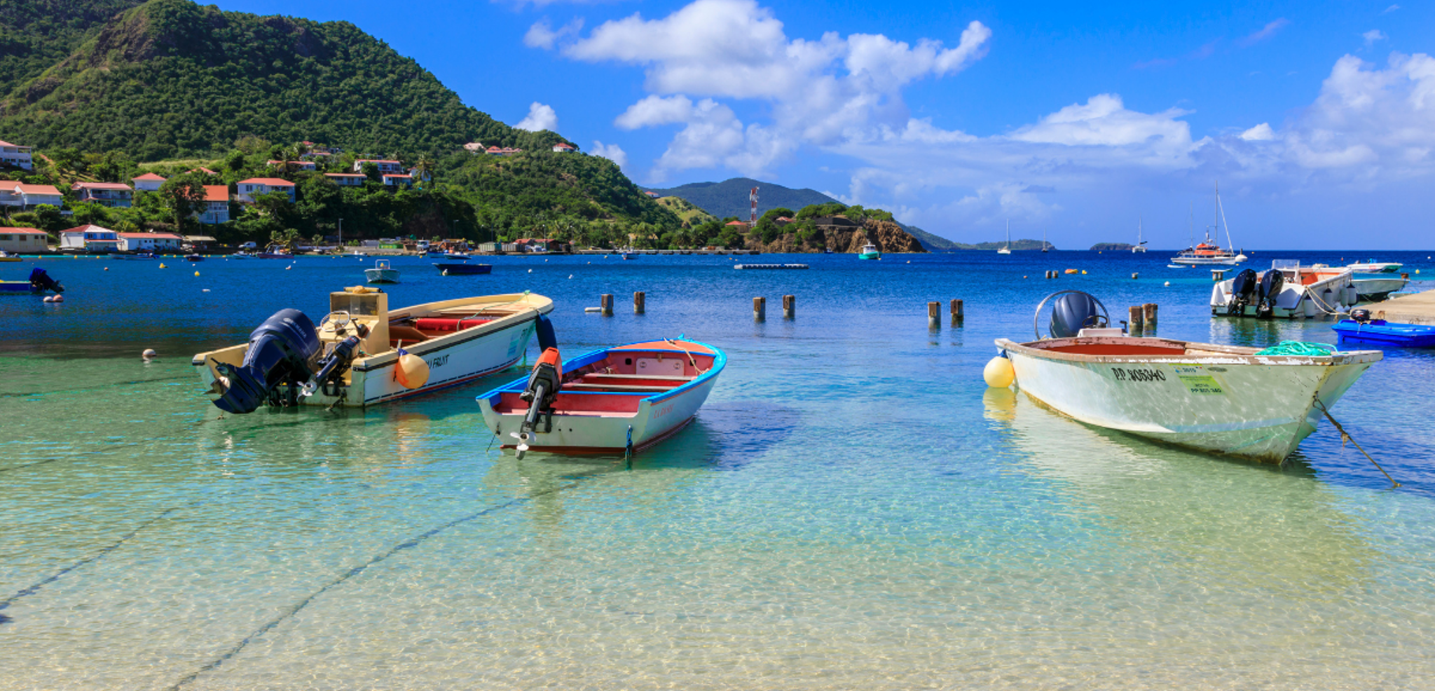 Dans la baie de Terre de Haut