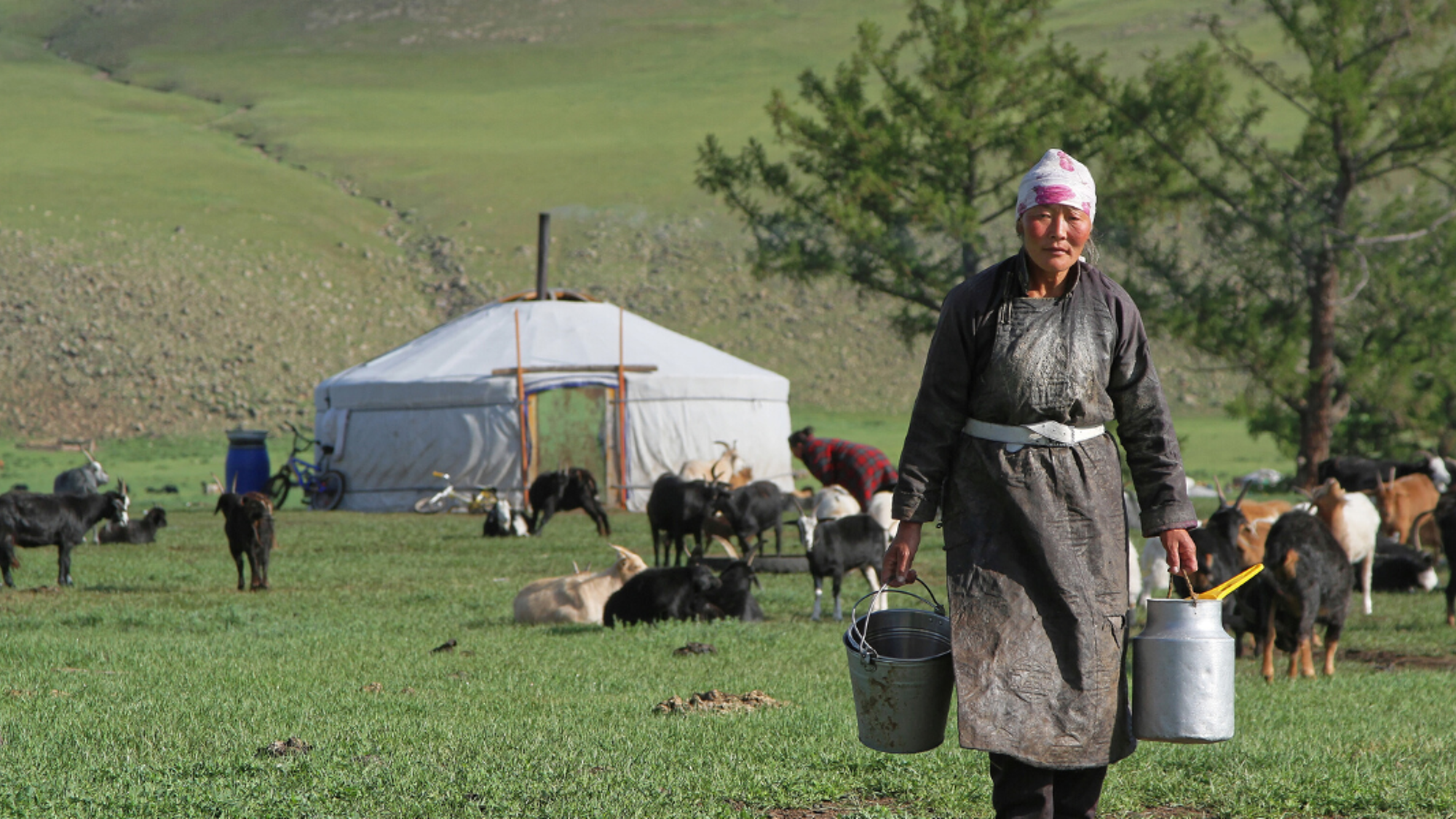 Une immersion dans la vie nomade - jour 6