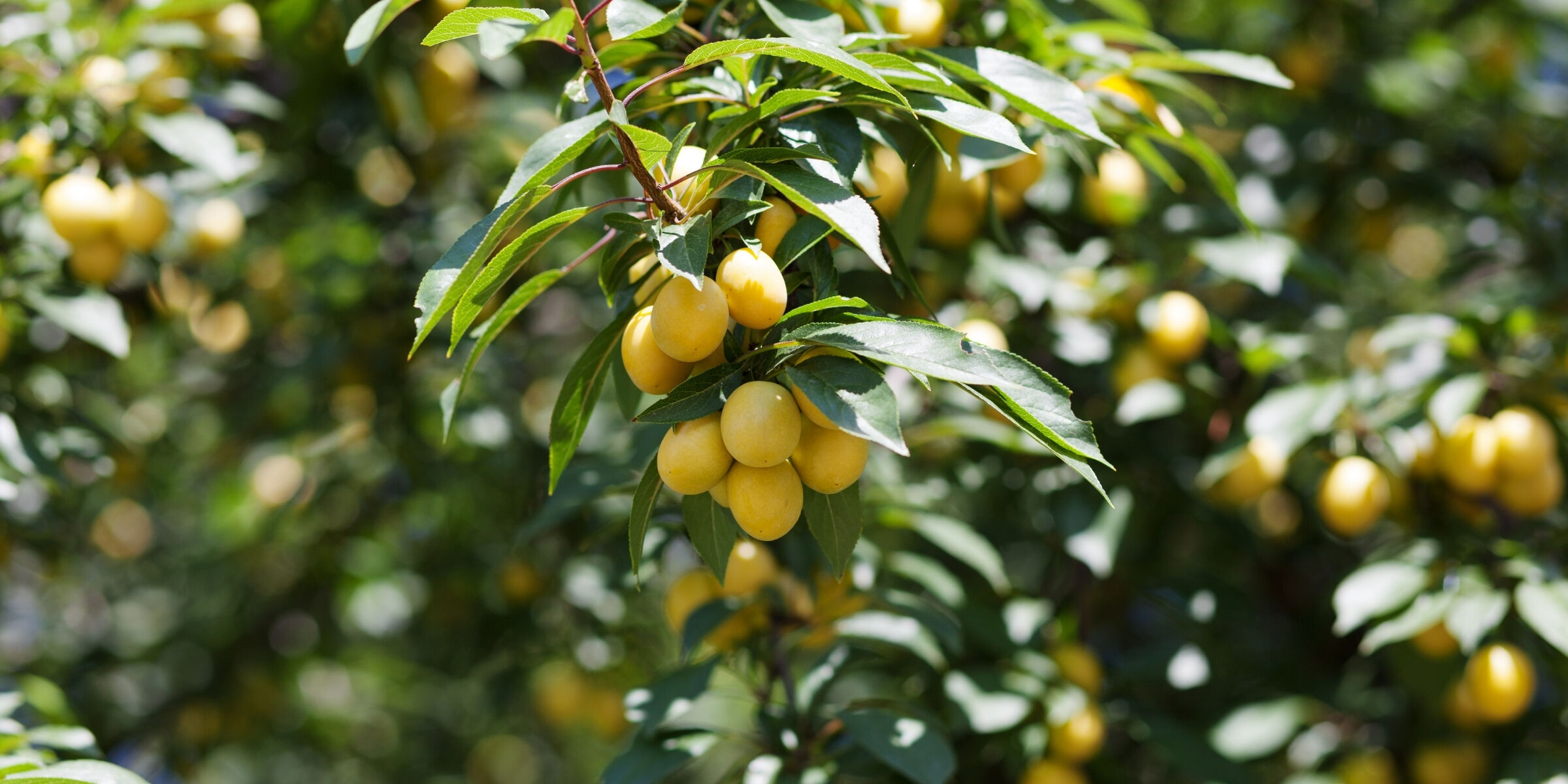 Minorque, Espagne ©Shutterstock