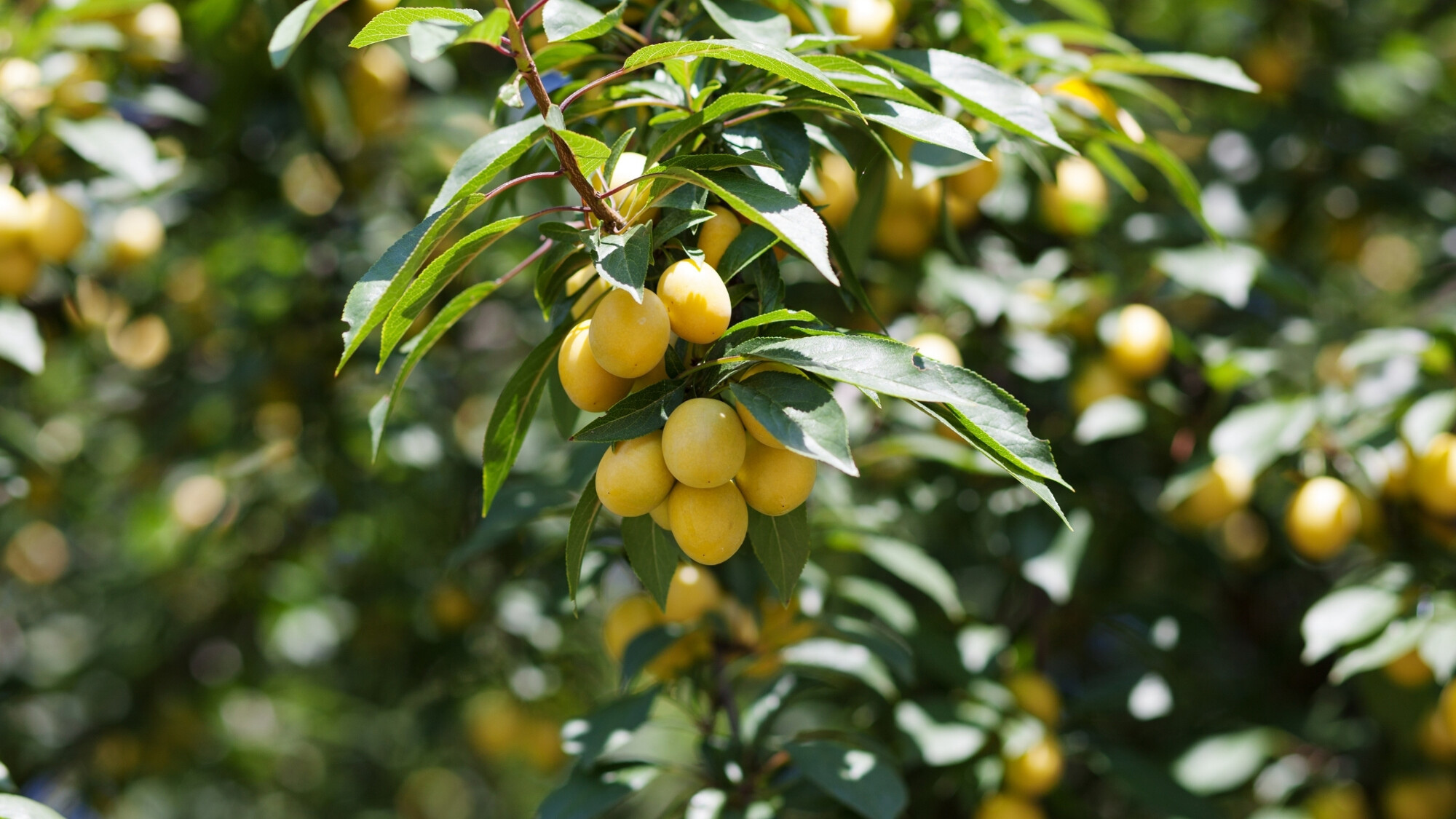 Minorque, Espagne ©Shutterstock