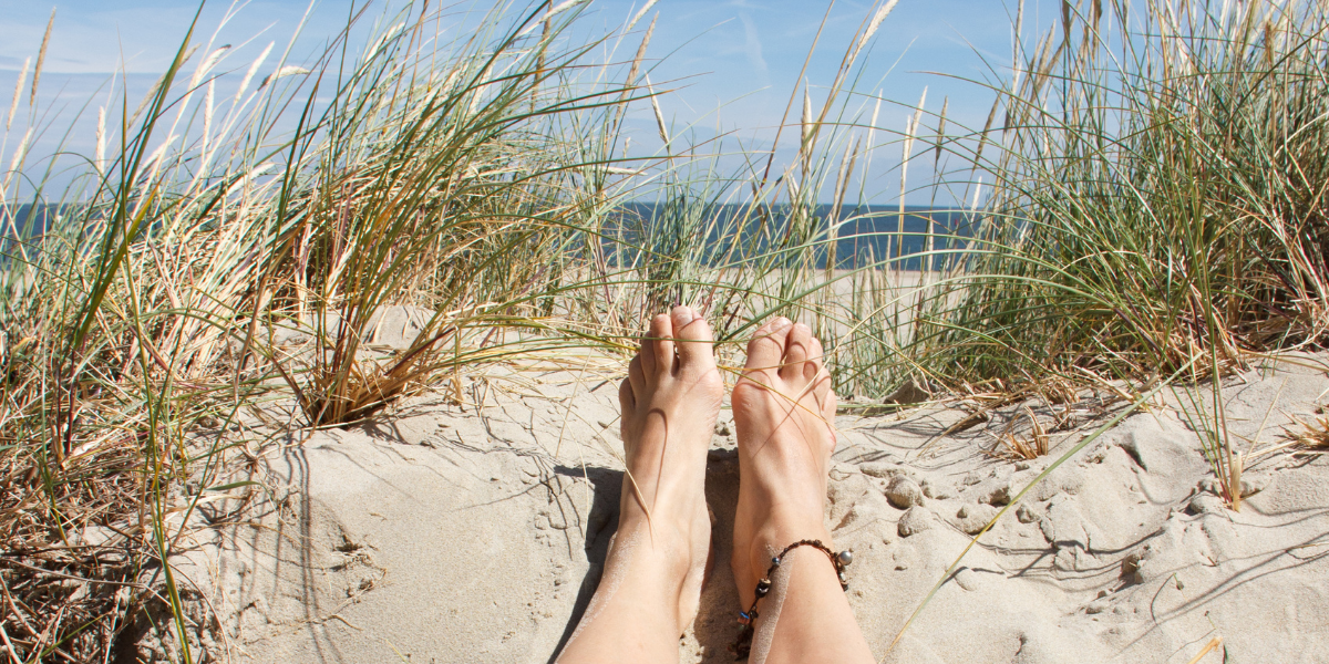 Chillez sur le sable des dunes
