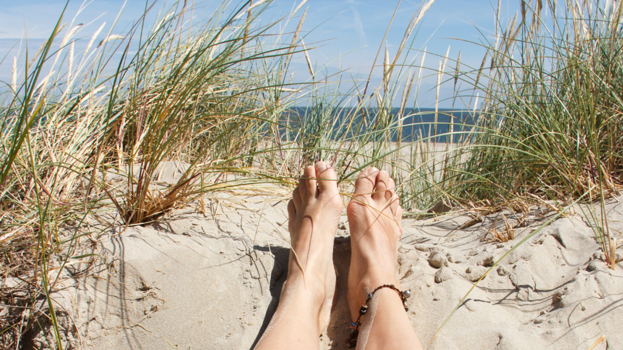 Chillez sur le sable des dunes