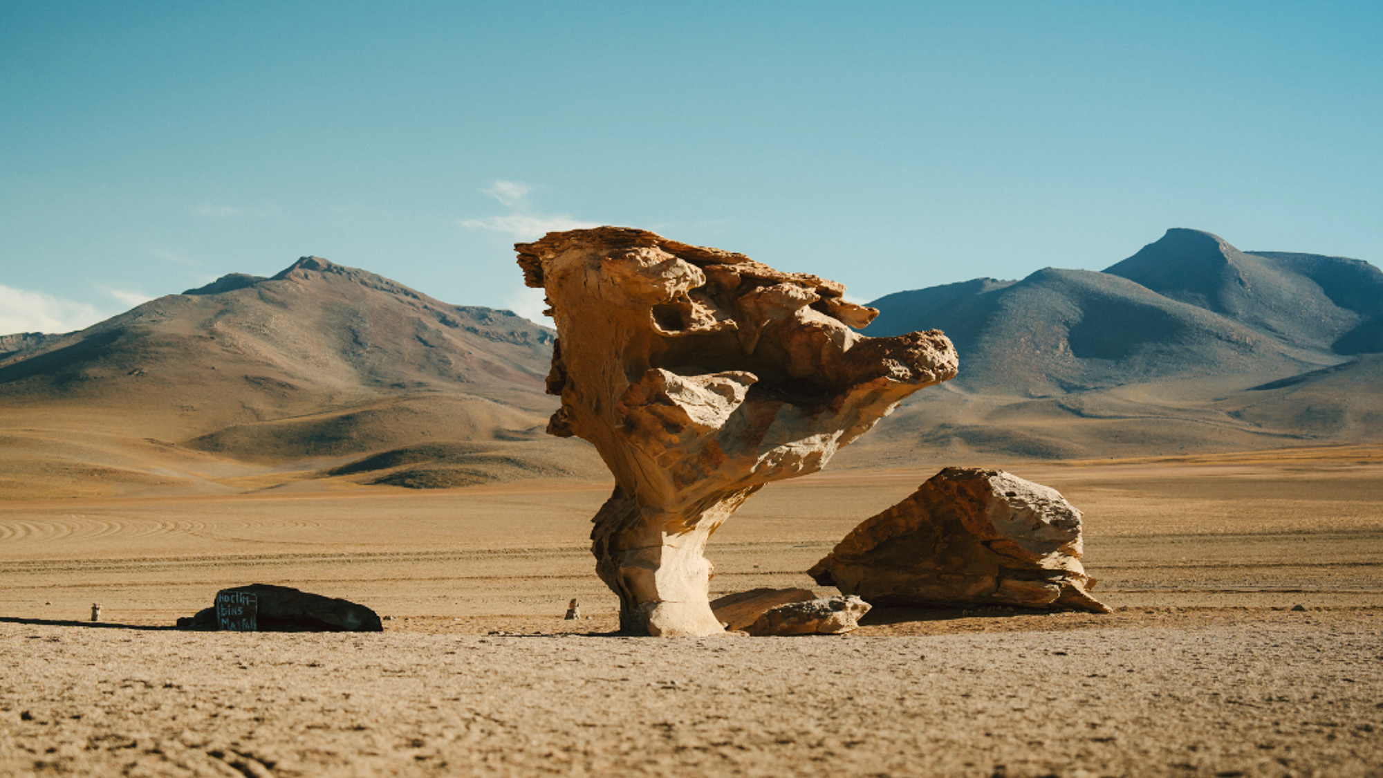 Le désert de Siloli et l'arbre de pierre