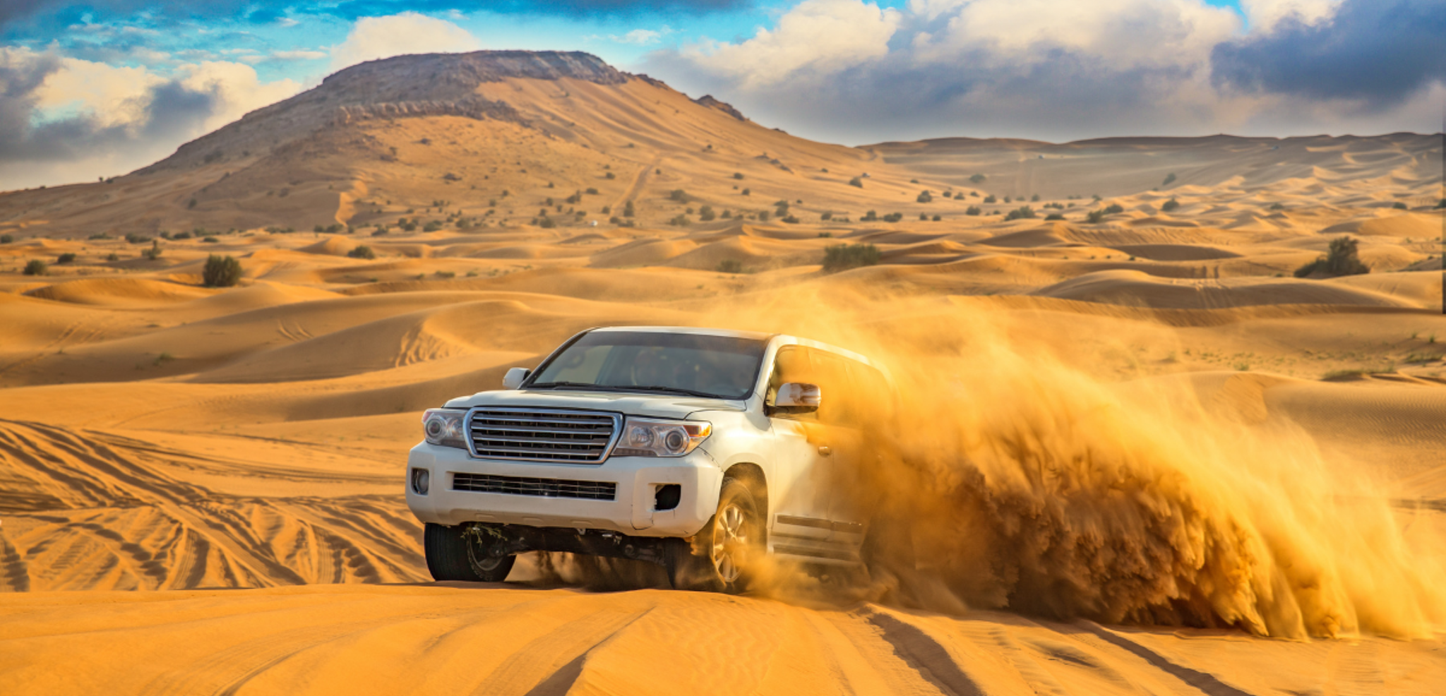 "Dune bashing" dans le désert, sensations garanties !