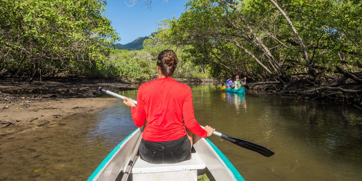 Embarquez pour une balade en canoë dans la mangrove (en supplément, voir options) 