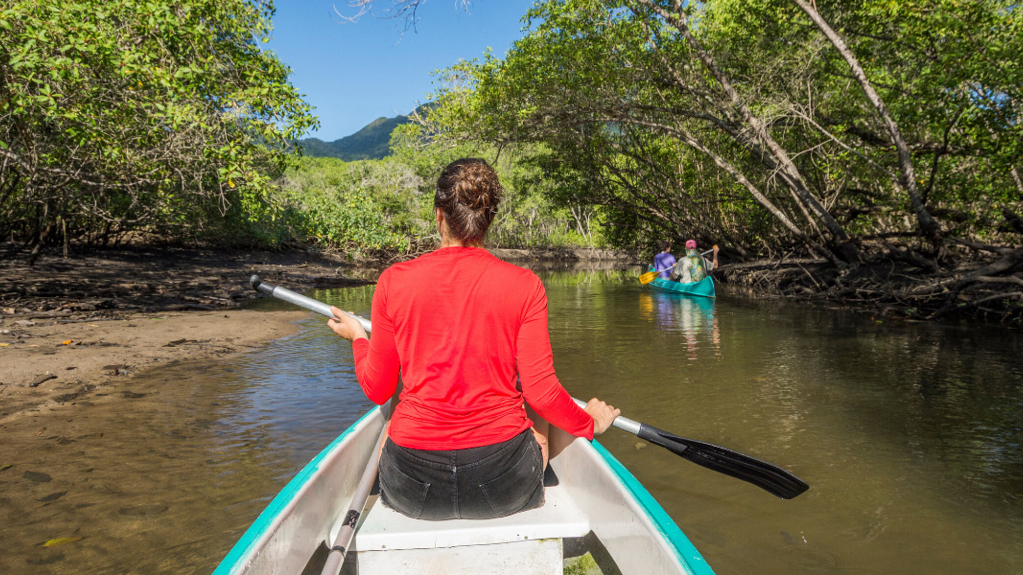 Embarquez pour une balade en canoë dans la mangrove