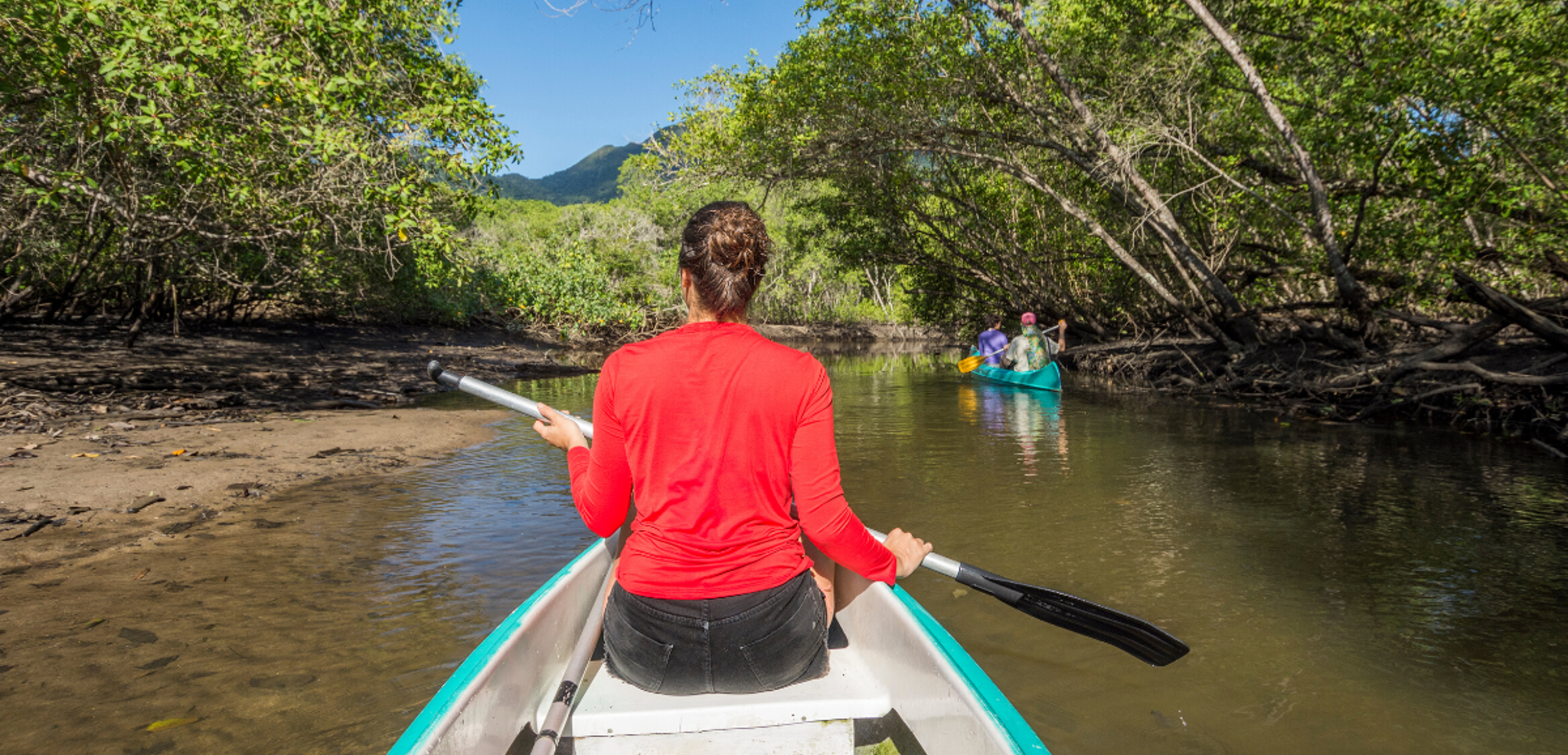 Embarquez pour une balade en canoë dans la mangrove (en supplément, voir options)