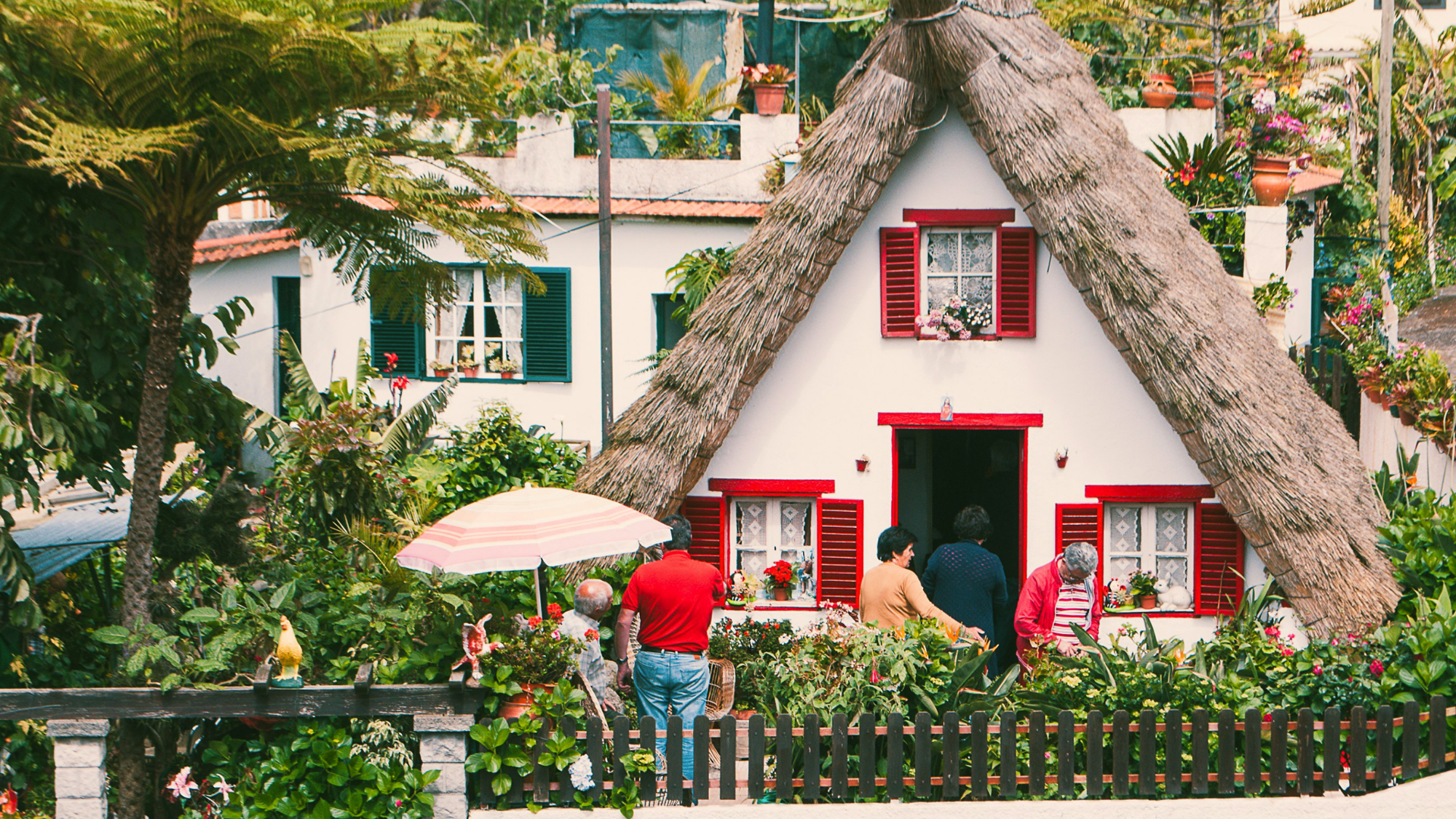 Funchal, Madère, Portugal ©Martha Dominguez de Gouveia / Unsplash