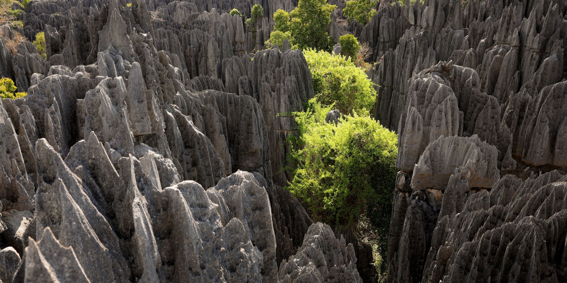 Réserve spéciale d’Ankarana, Madagascar