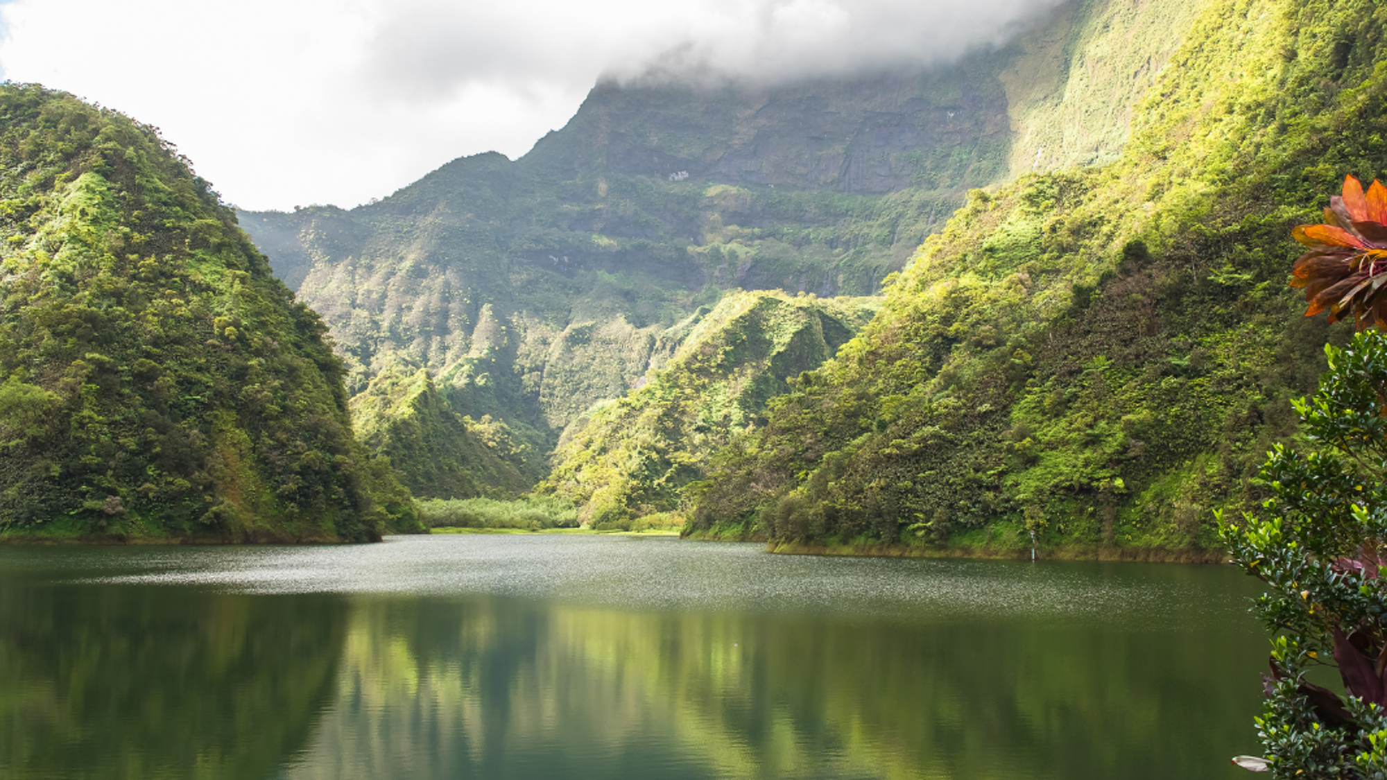 Vallée de la Papenoo , Tahiti, ©Shutterstock