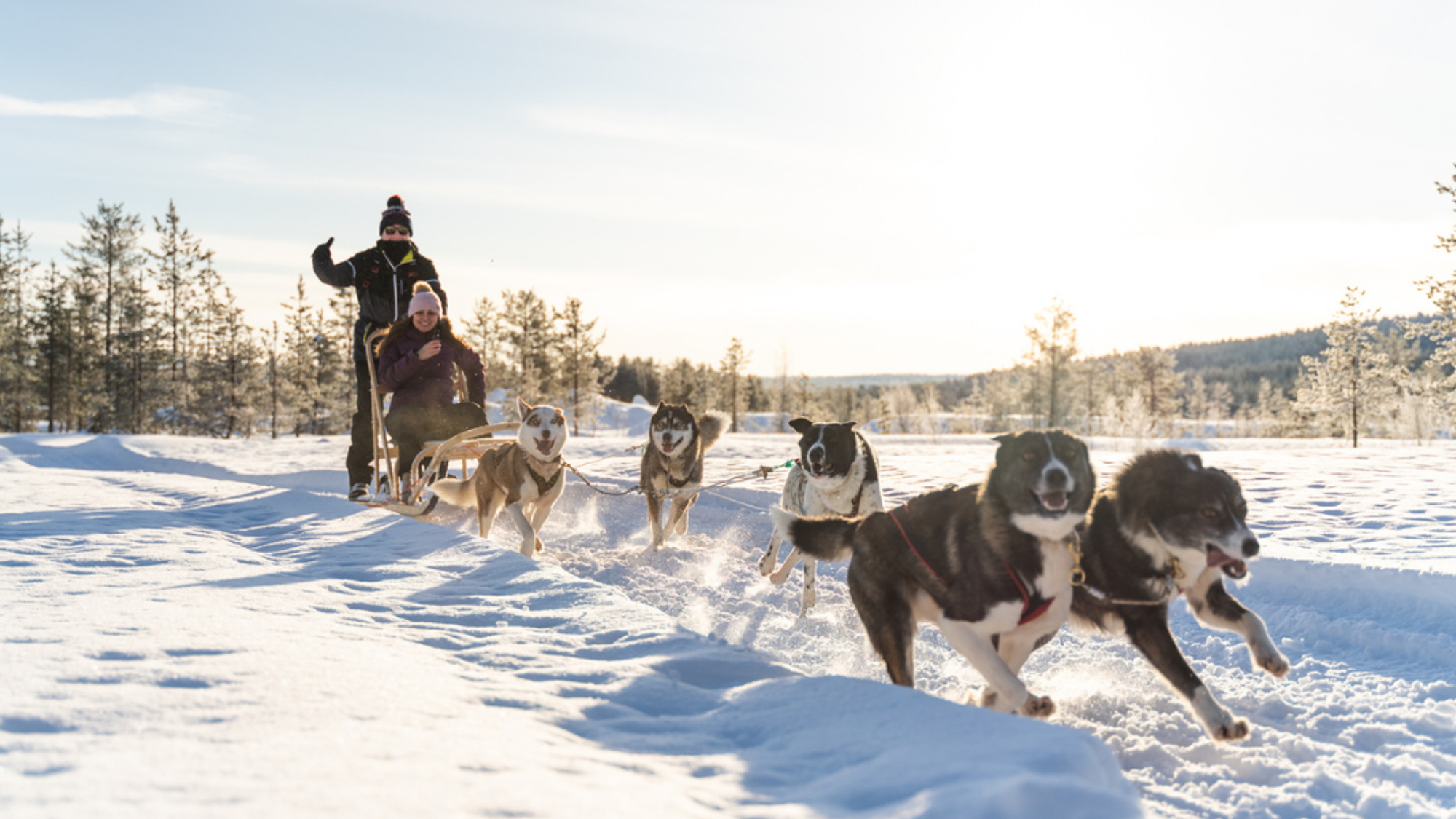 Une balade en chiens de traineaux à travers les paysages enneigés - jour 5