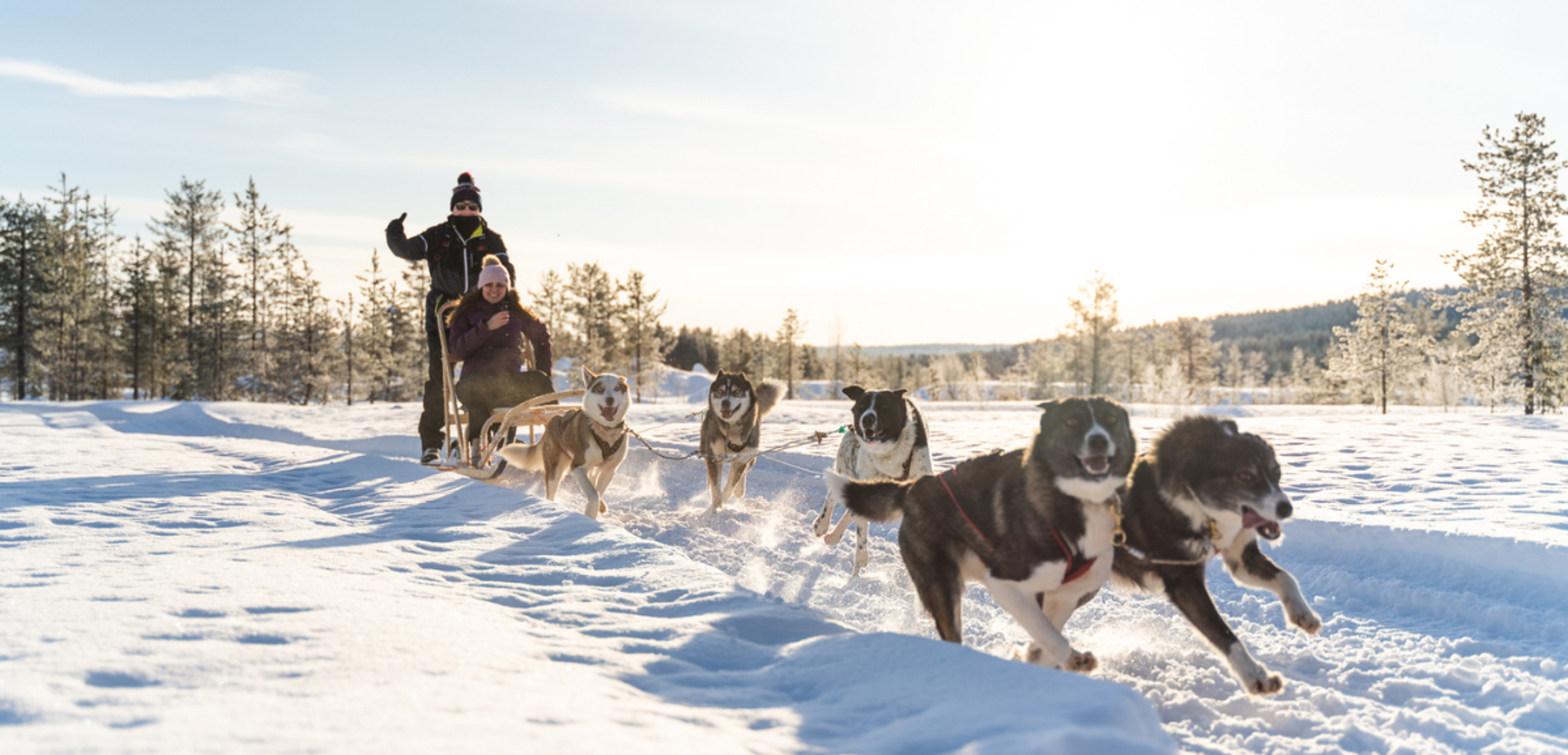 Une balade en chiens de traineaux à travers les paysages enneigés - jour 5