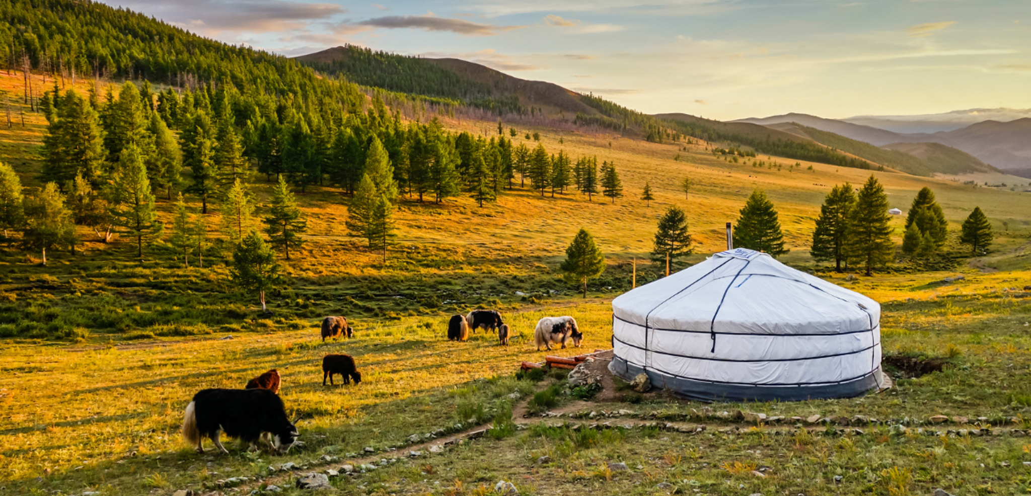 Bienvenue dans les steppes de Mongolie !