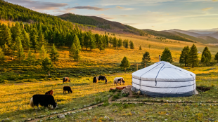 Bienvenue dans les steppes de Mongolie !