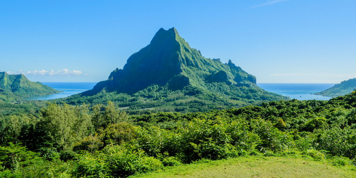 Admirez la magnifique île de Moorea