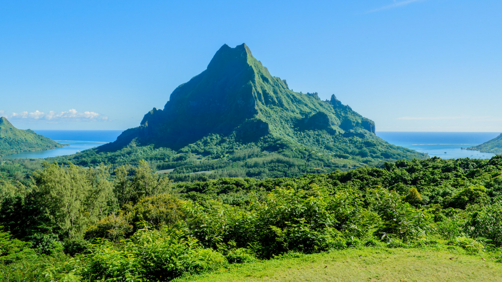 Admirez la magnifique île de Moorea