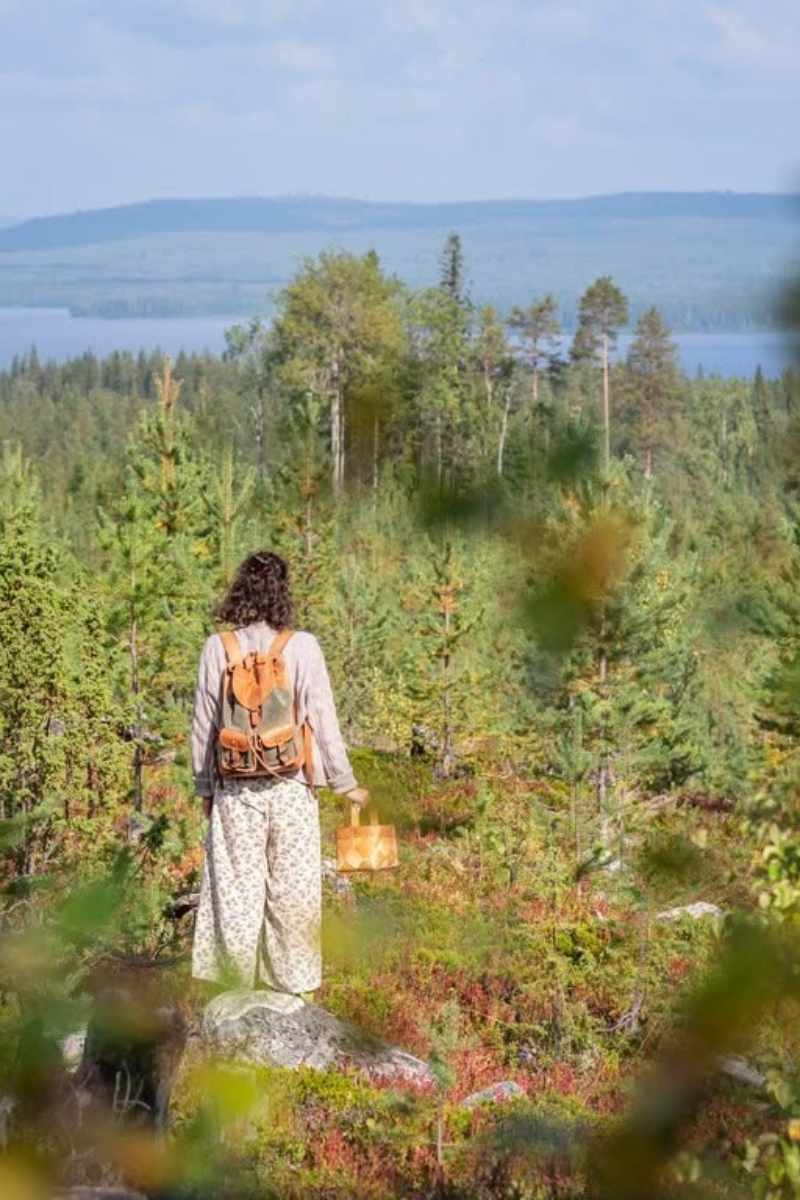 Cueillette dans la forêt, Finlande 