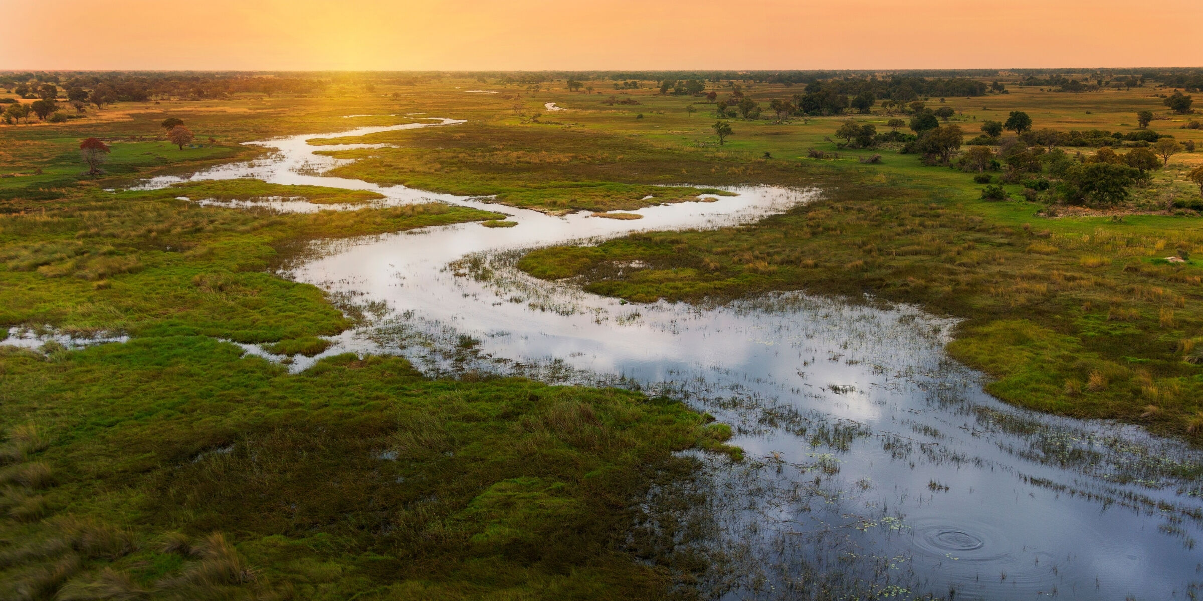 Delta de l'Okavango, Botswana
