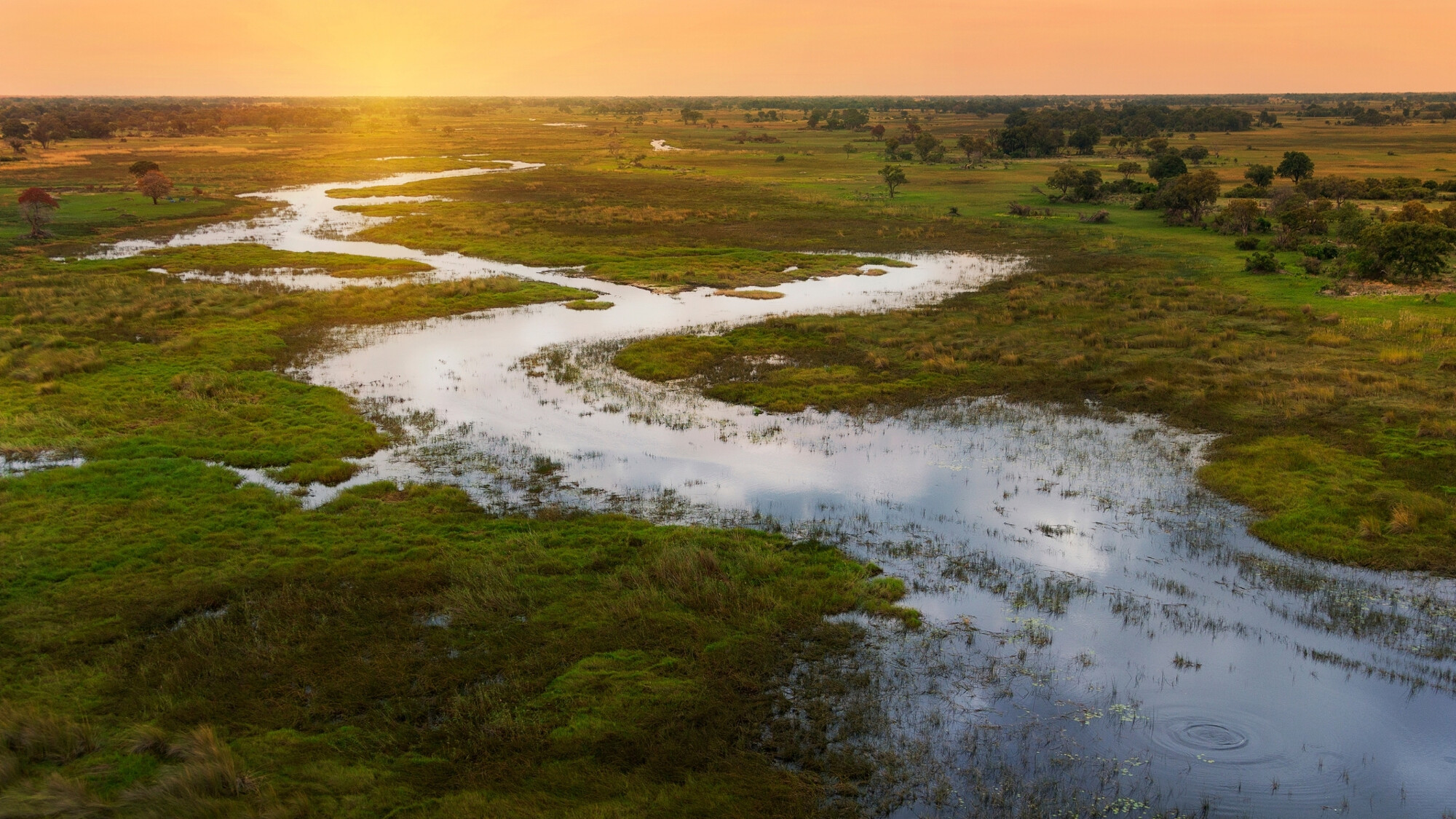 Delta de l'Okavango, Botswana