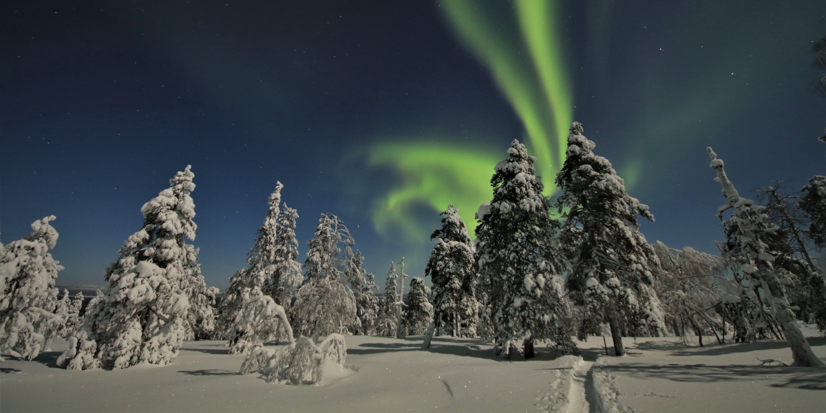 Une chasse aux aurores boréales pour en prendre plein les yeux ! (Phénomène imprévisible) 