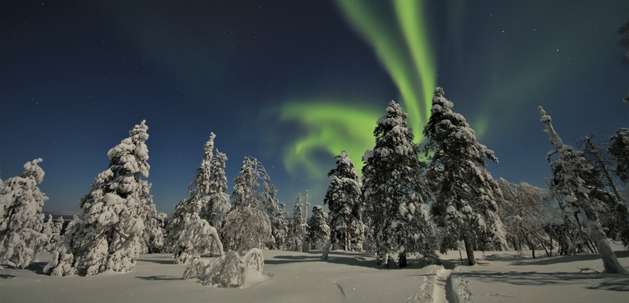 Une chasse aux aurores boréales pour en prendre plein les yeux ! (Phénomène imprévisible)