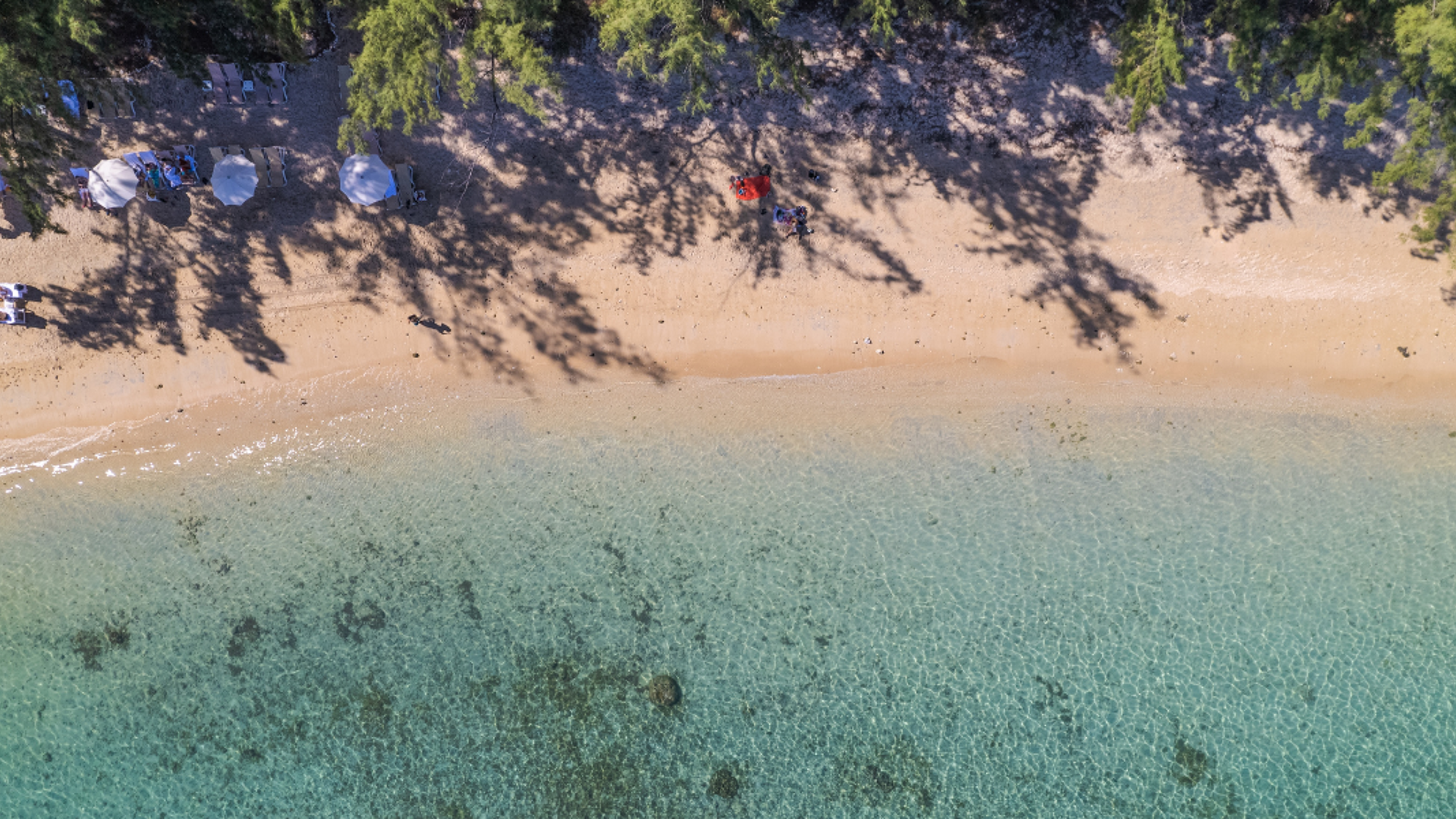 Lagon de l'Hermitage, Réunion